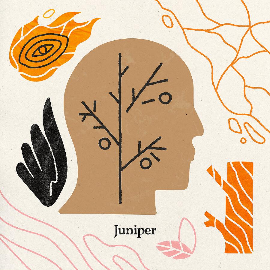 Волна по релизу