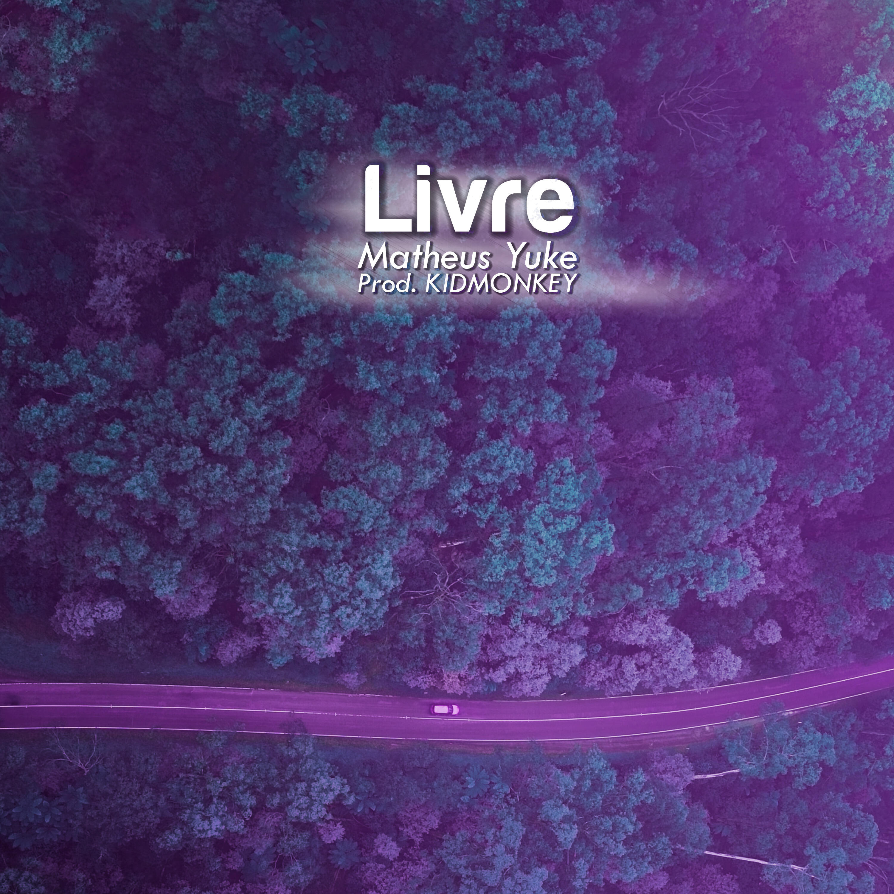 Релиз Livre
