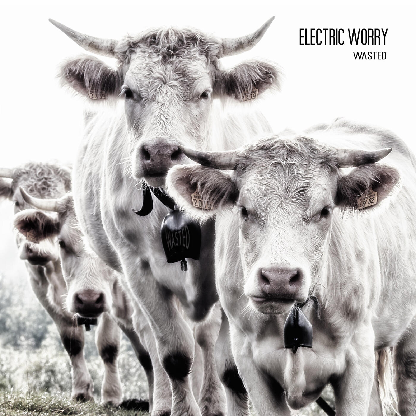 Electric Worry