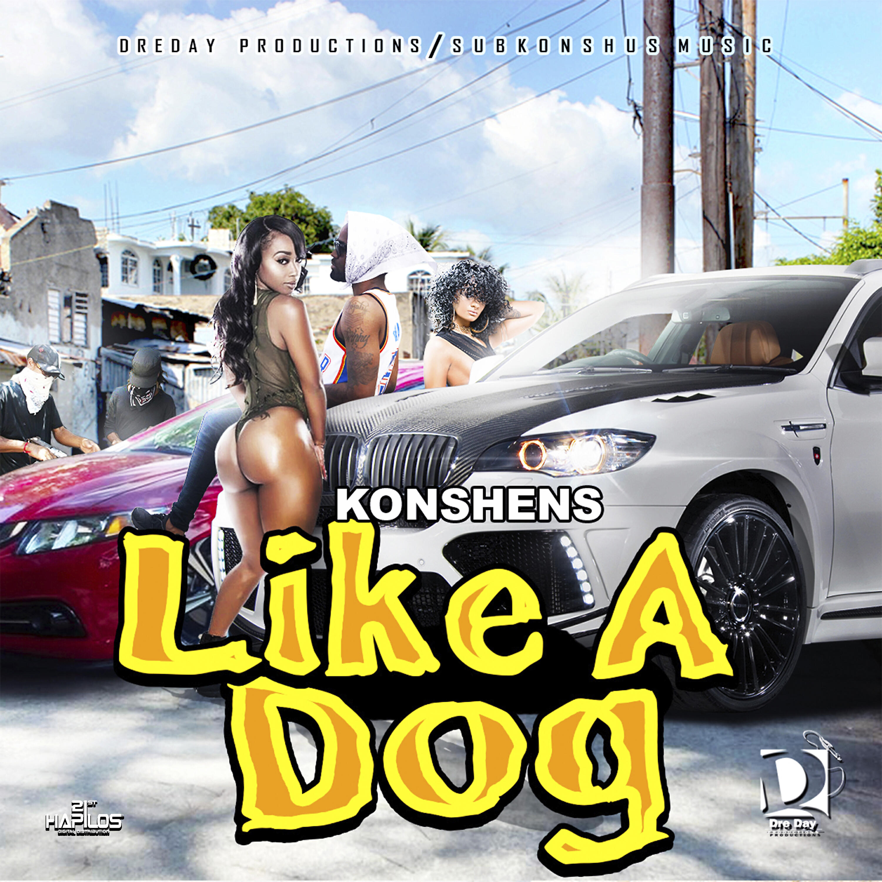 Постер альбома Like a Dog
