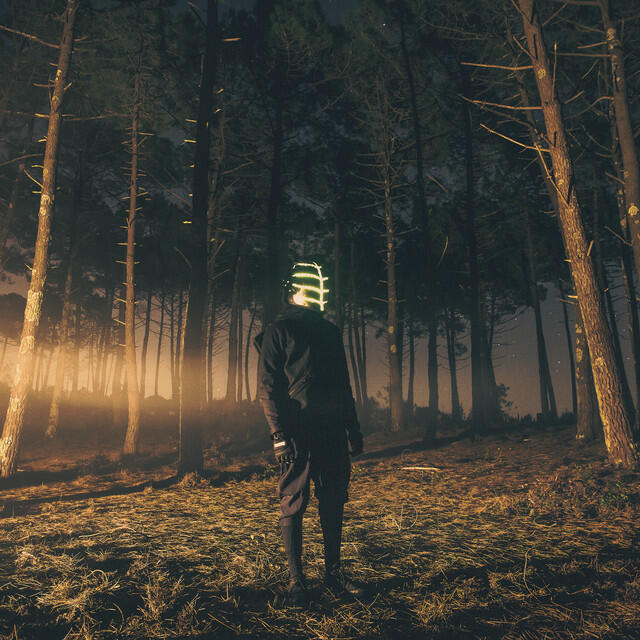 Релиз i.Forest