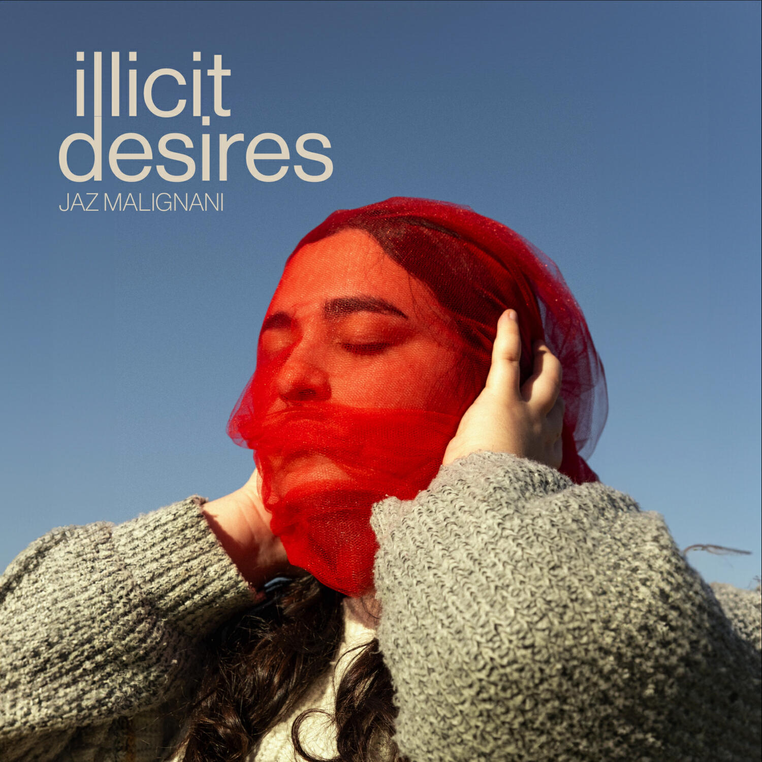 Релиз ILLICIT DESIRES