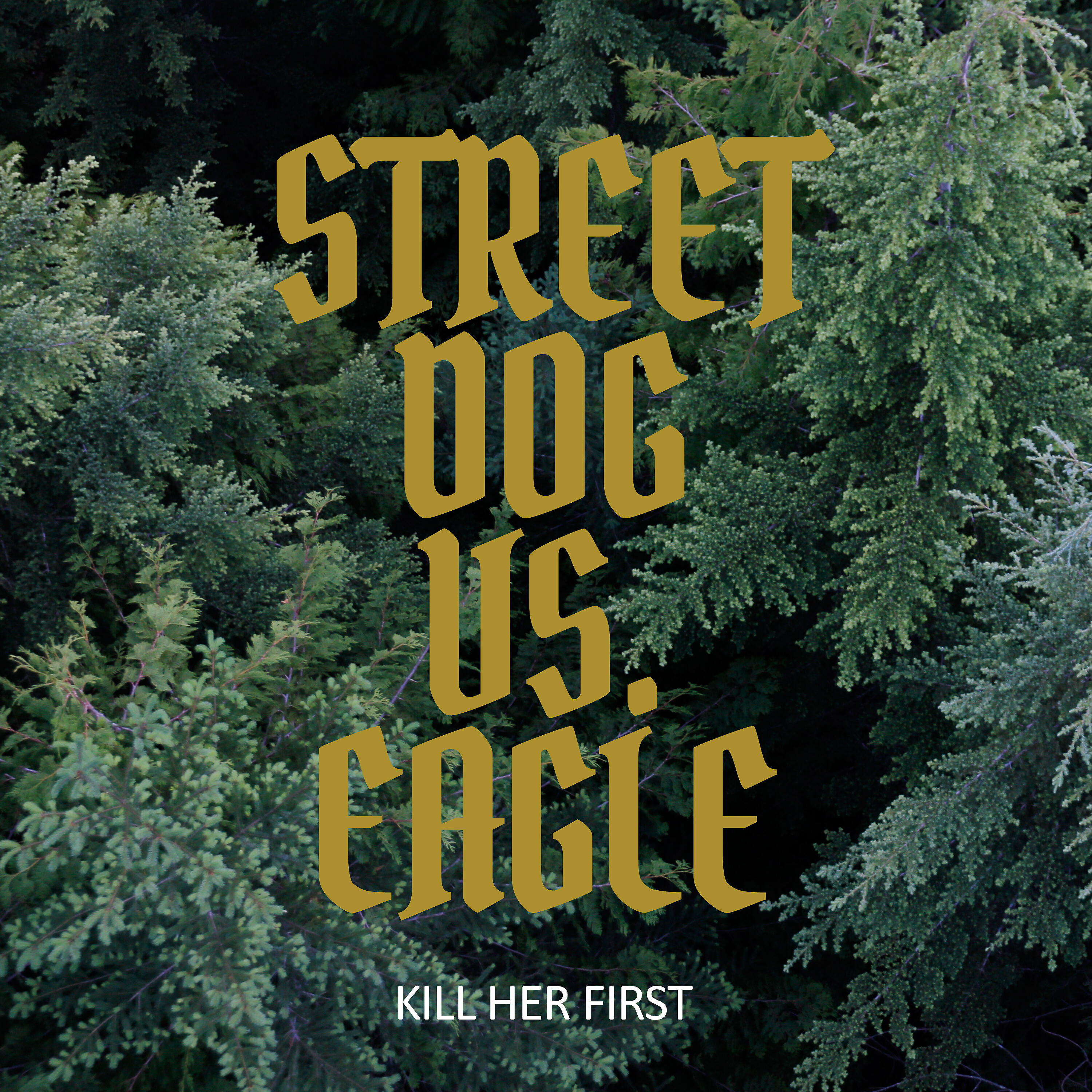 Релиз Street Dog vs. Eagle