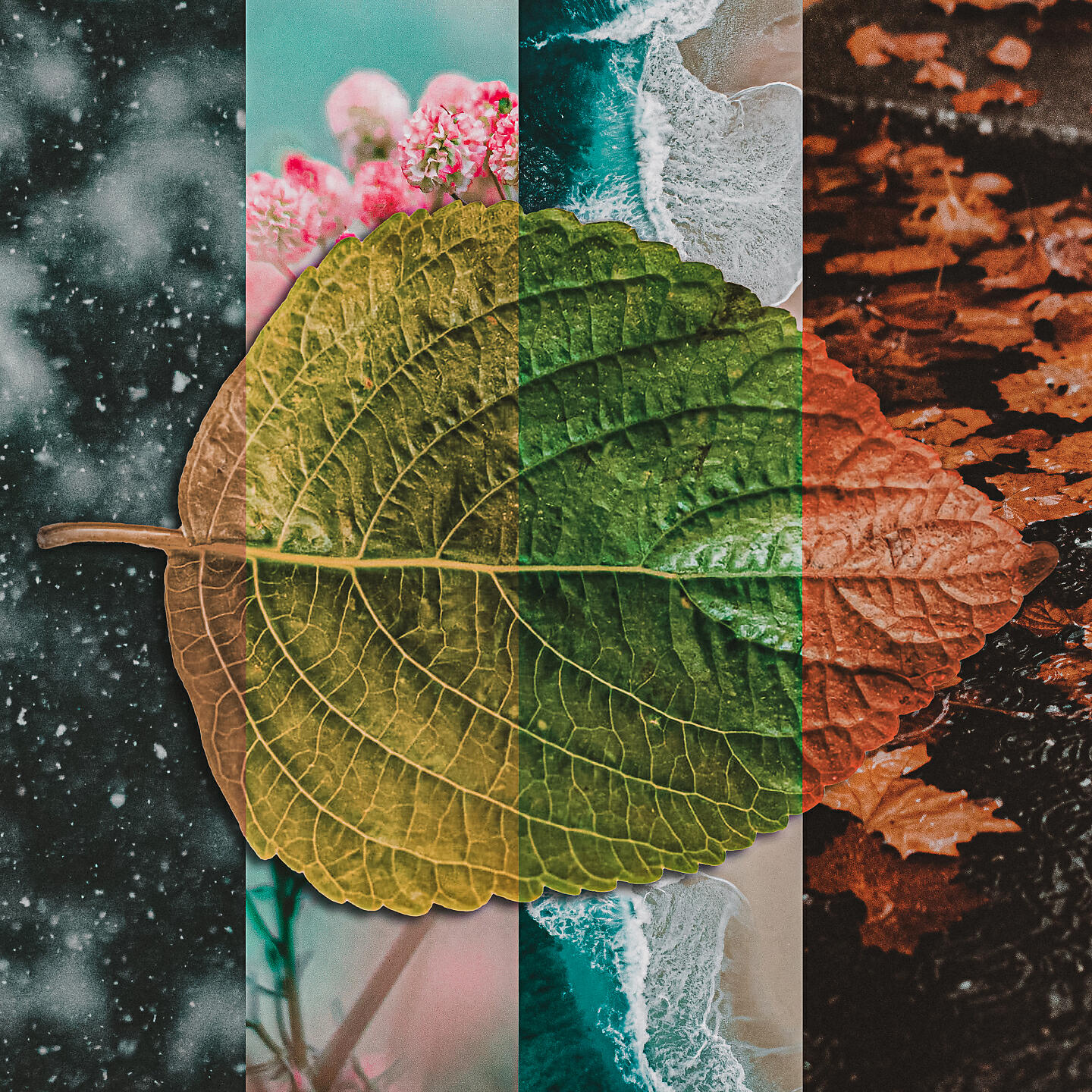 Релиз Nature