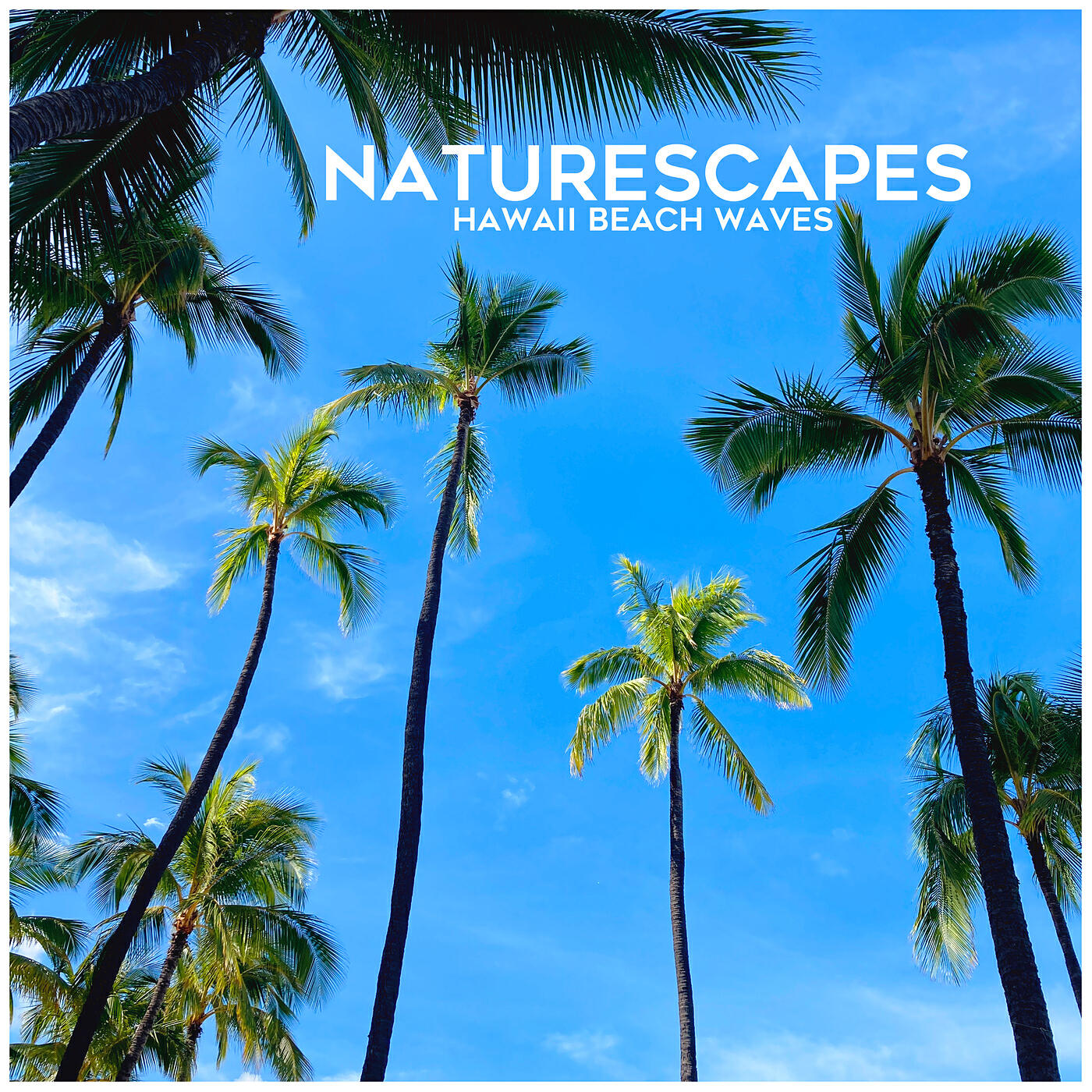 Naturescapes