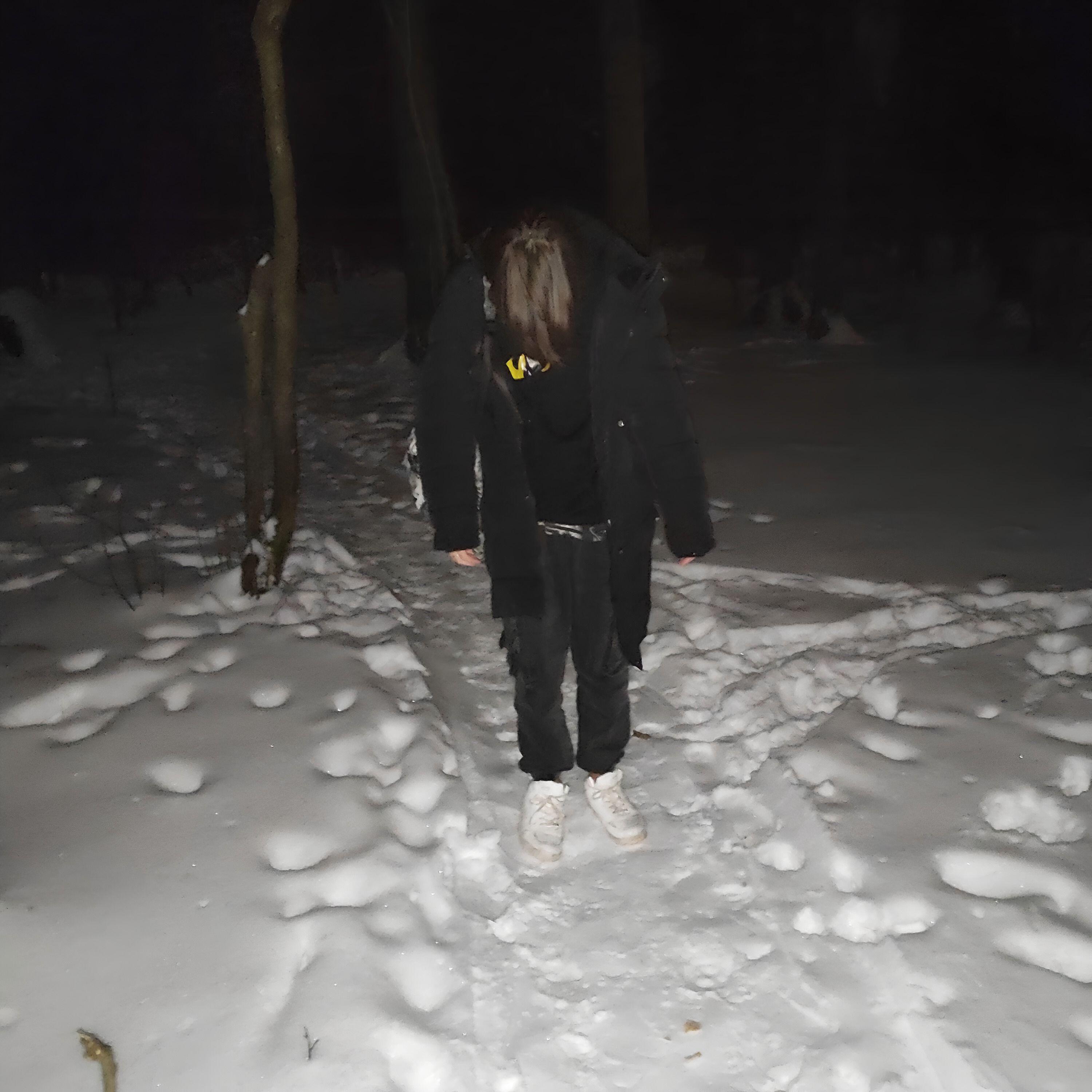 Постер альбома Снегопад
