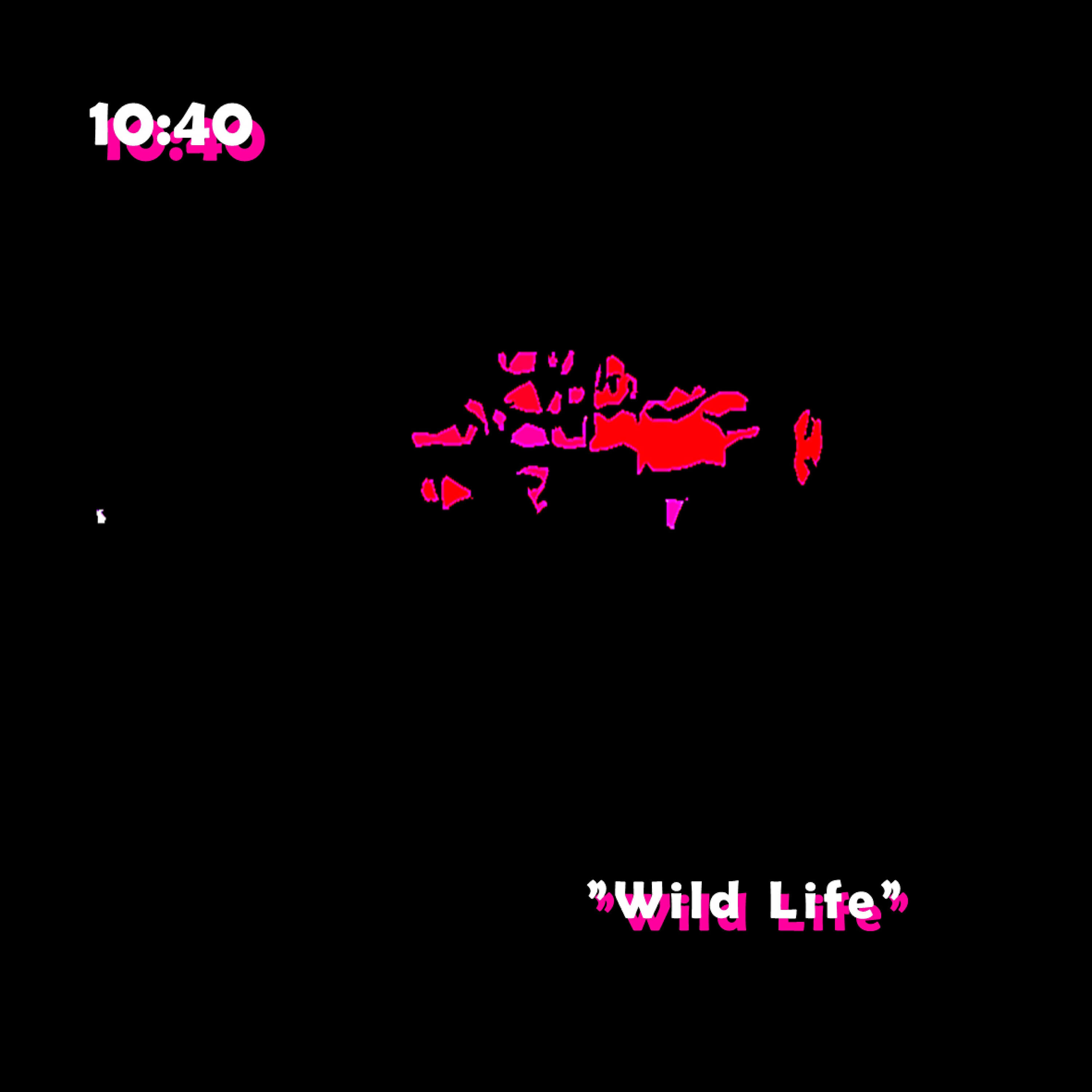 Релиз Wild Life