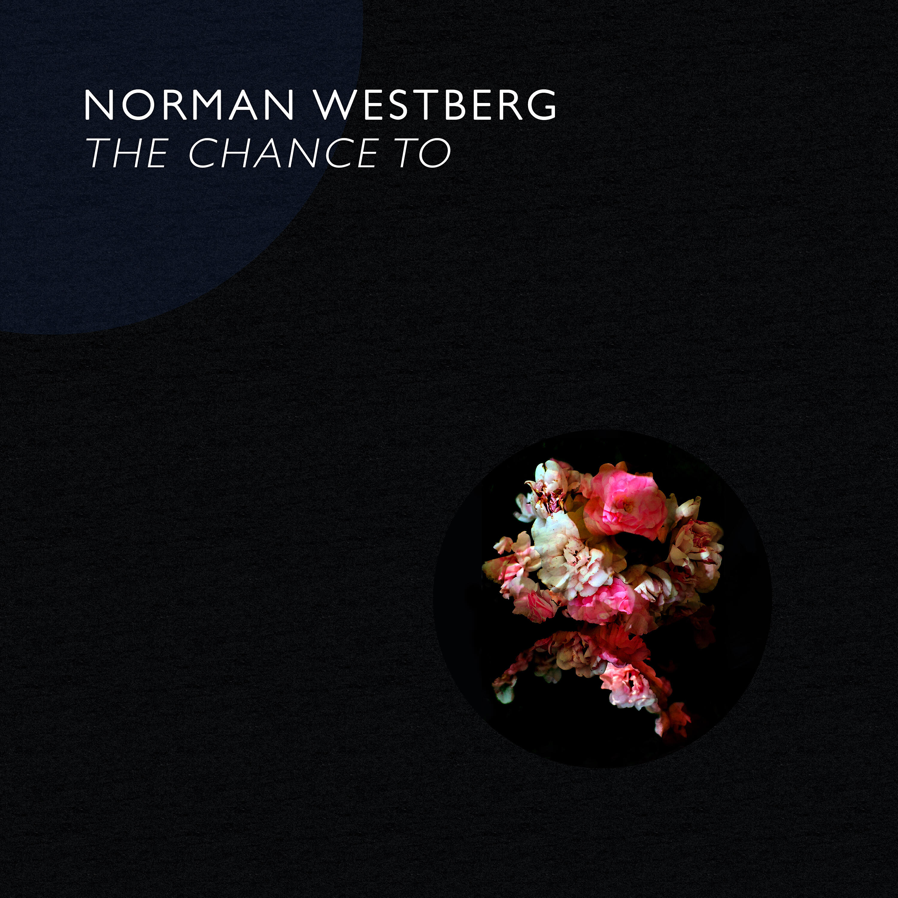 Релиз The Chance To