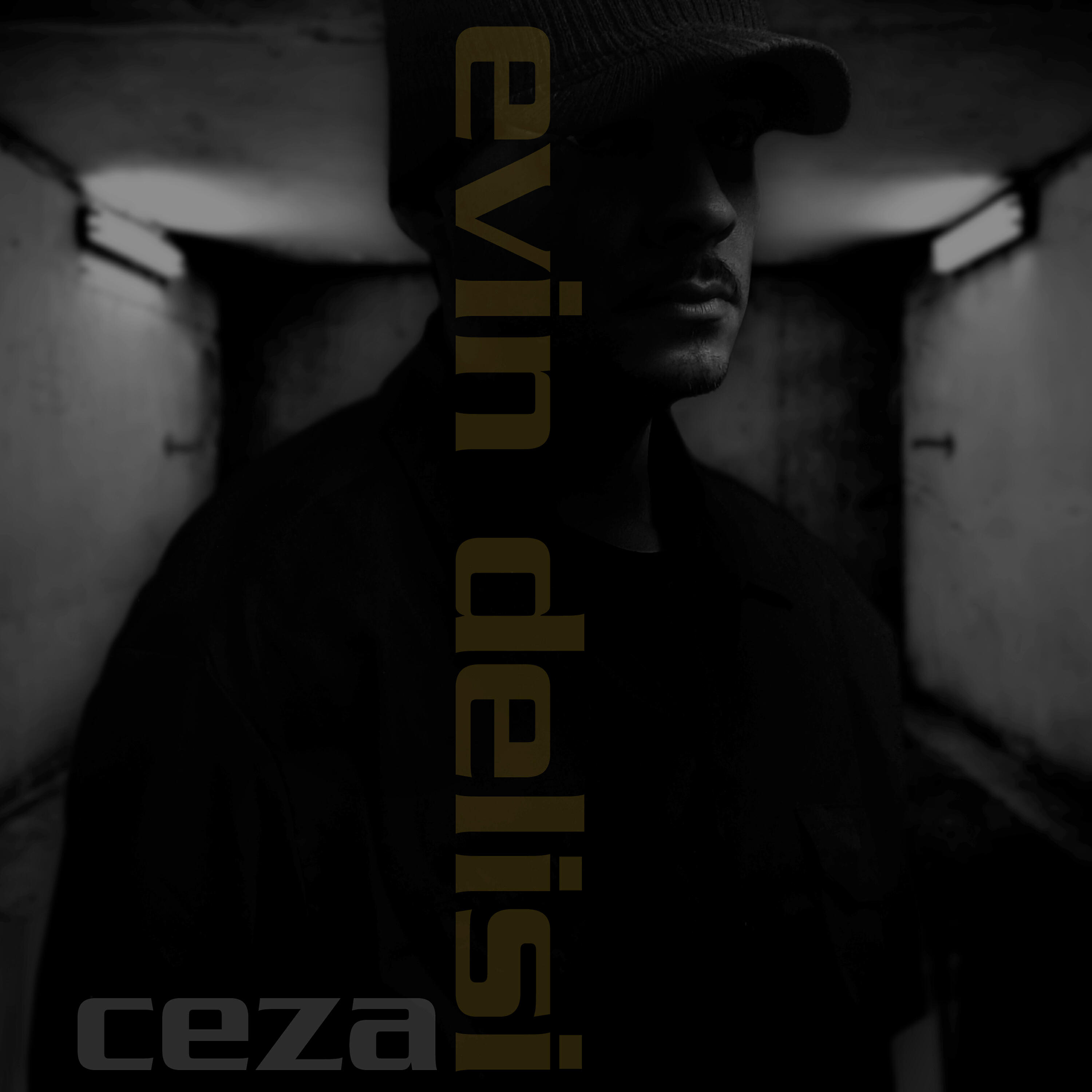 Релиз Evin Delisi