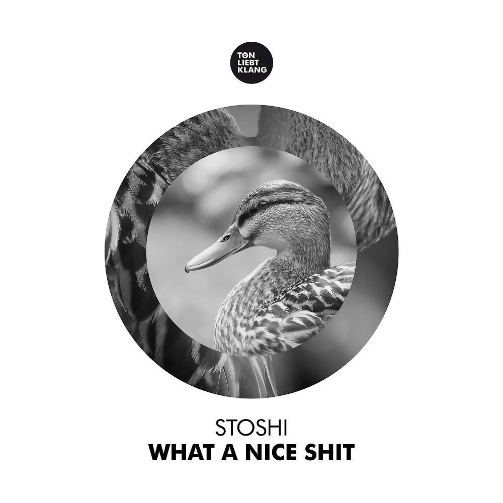 Релиз What a Nice Shit