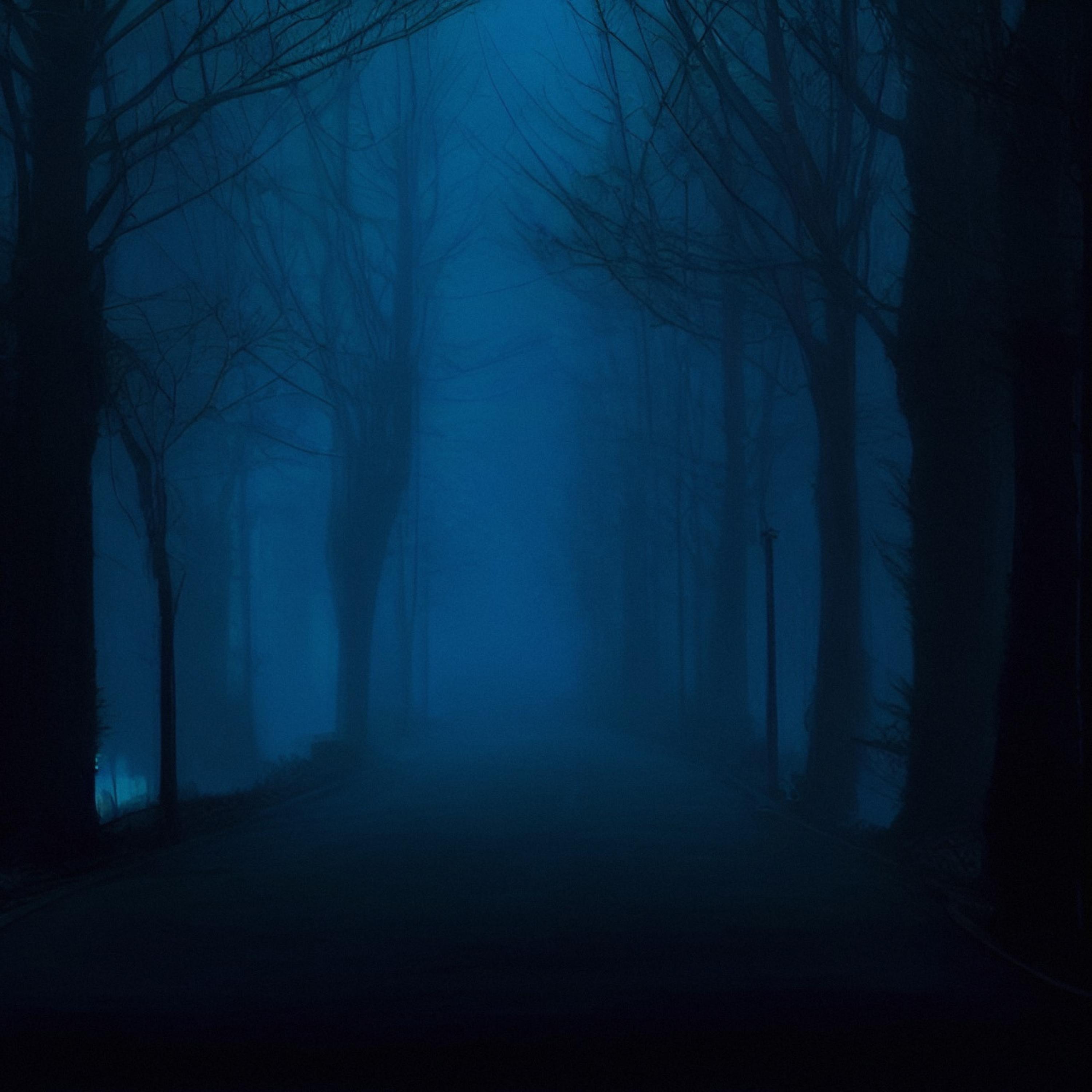 Релиз echo