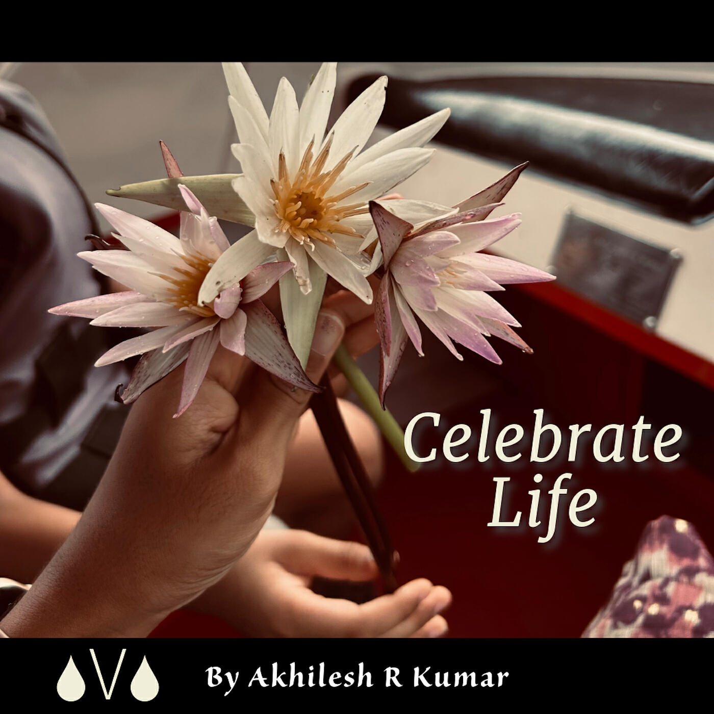 Релиз Celebrate Life