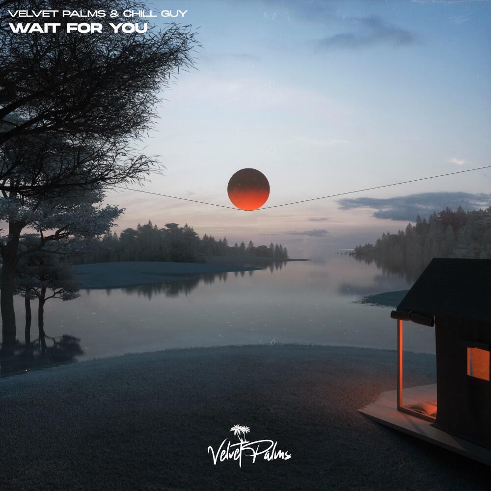 Релиз Wait for You