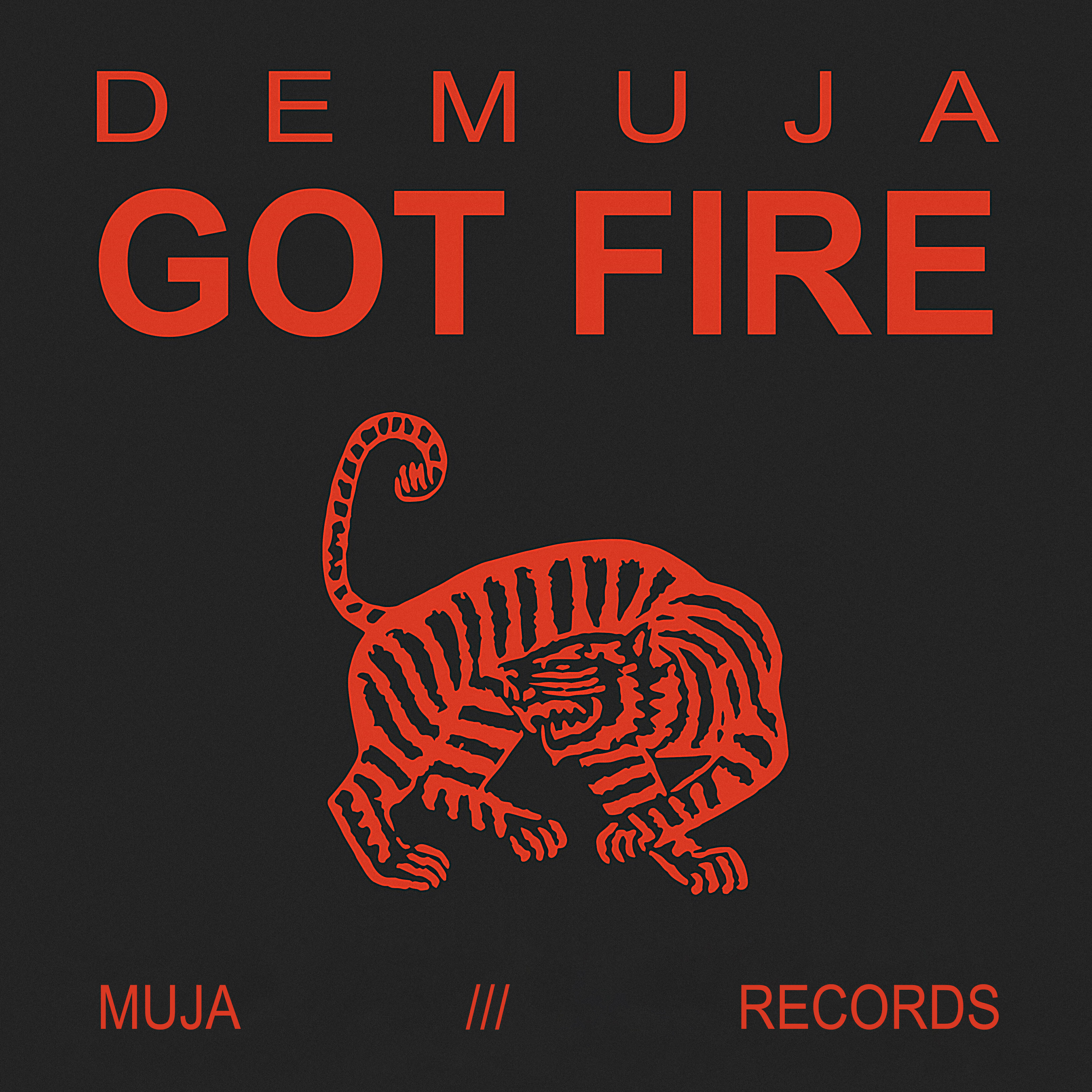 Релиз Got Fire