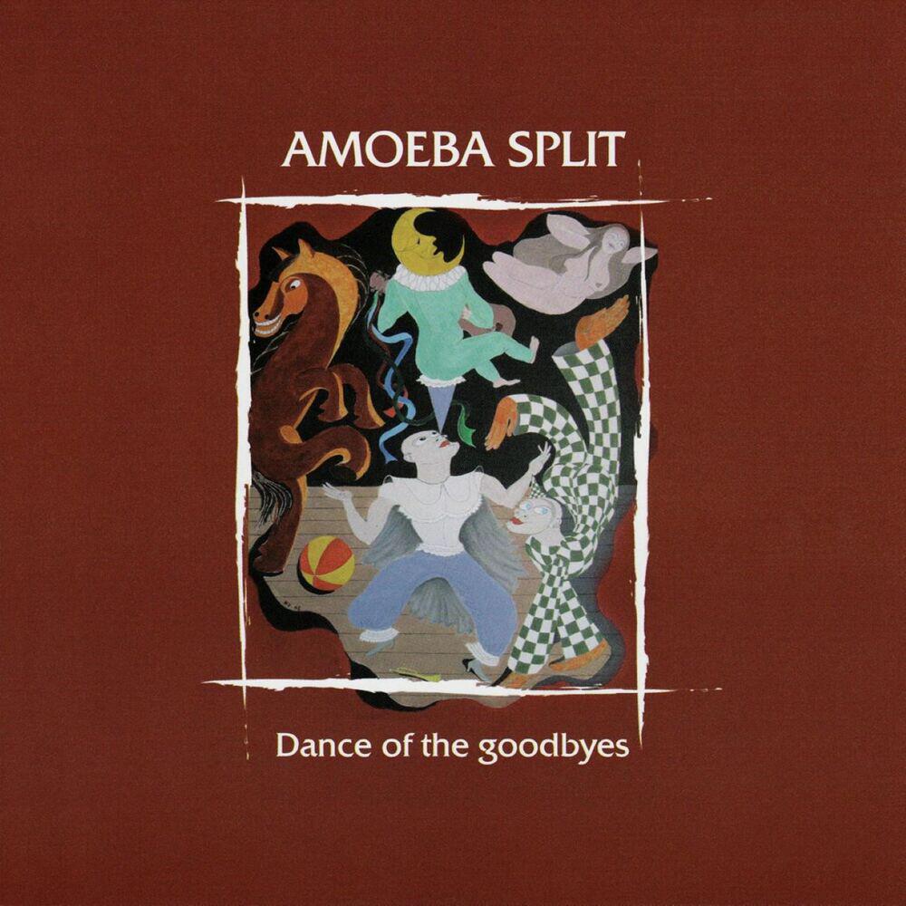 Amoeba Split