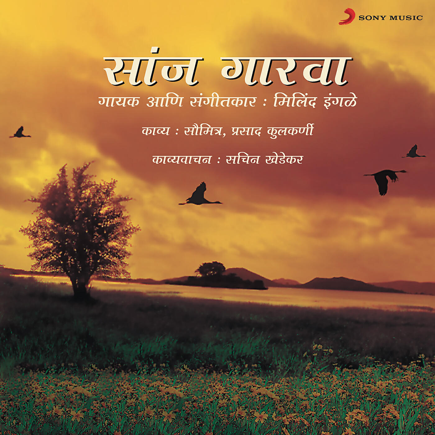 Релиз Saanj Gaarva
