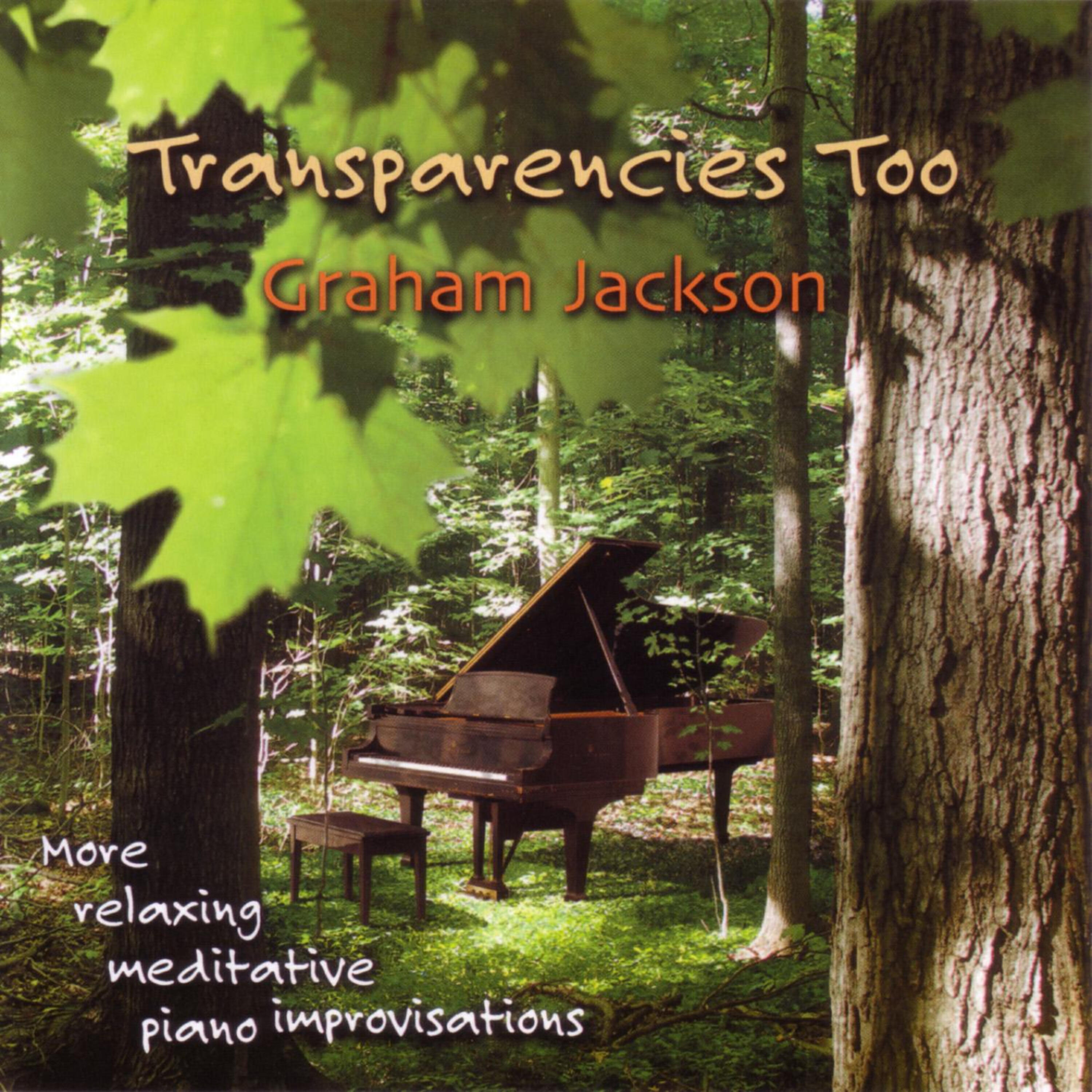 Релиз Transparencies Too