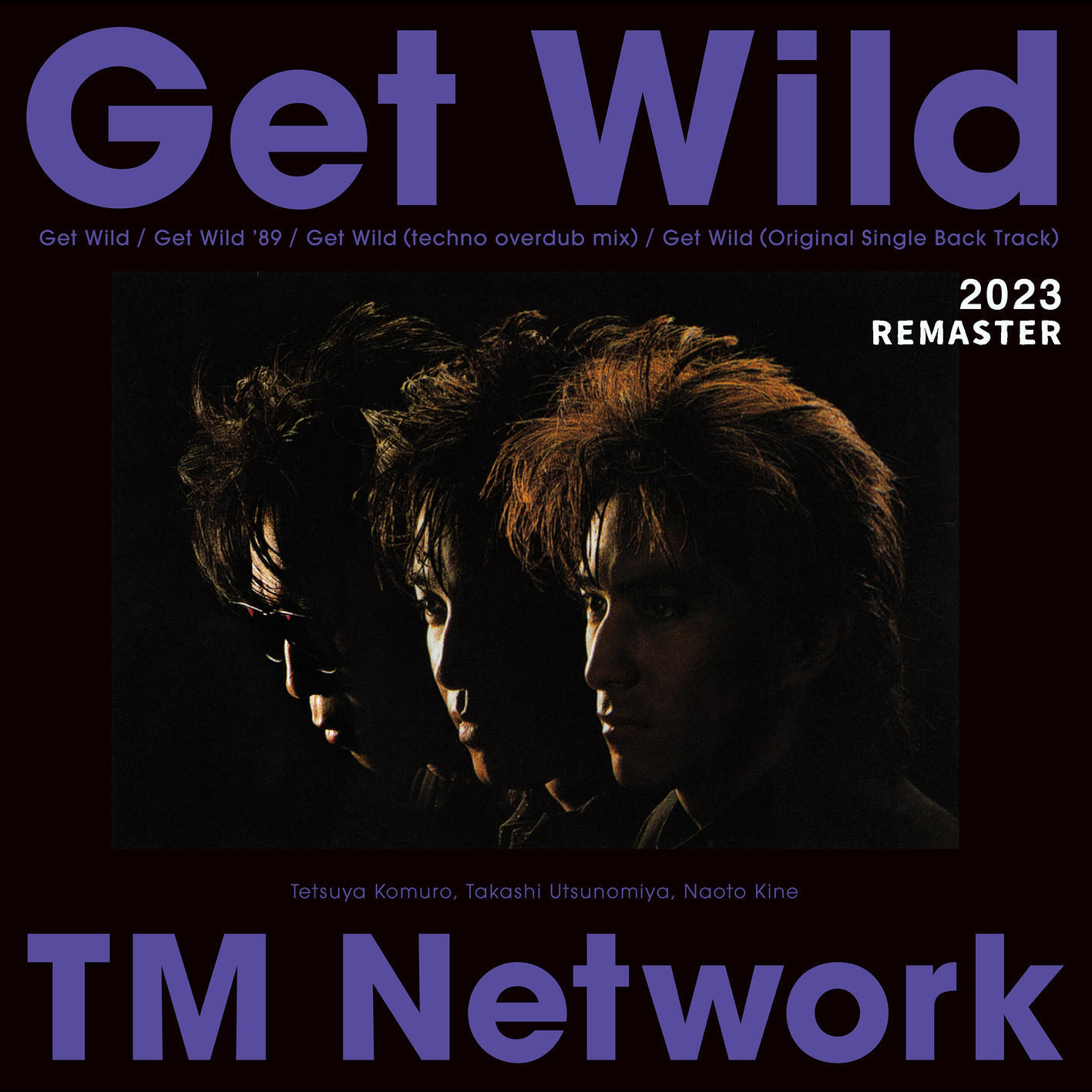 Релиз Get Wild 2023 REMASTER