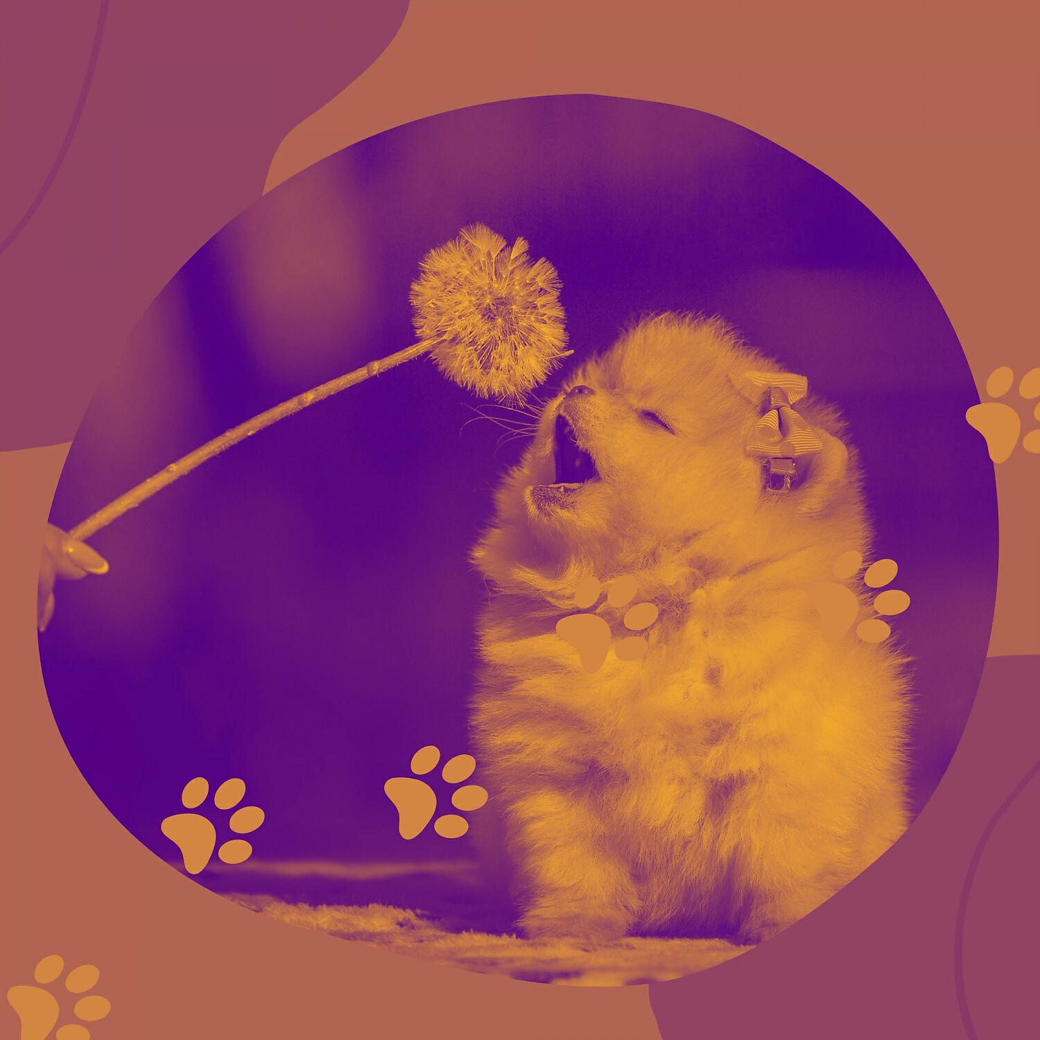 Релиз Bgm for Resting Pups