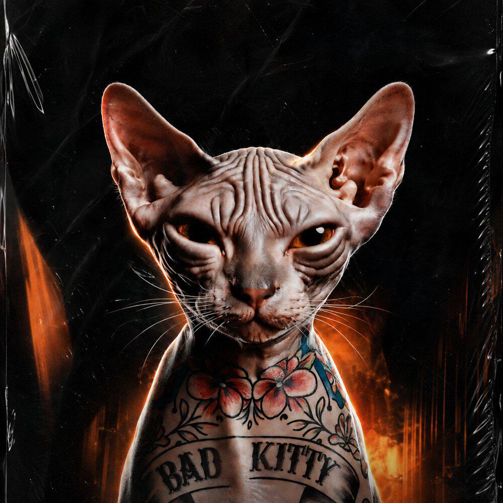 Релиз BAD KITTY