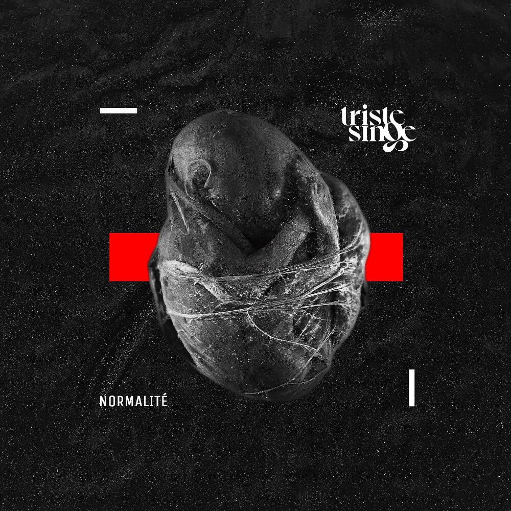 Релиз Normalité