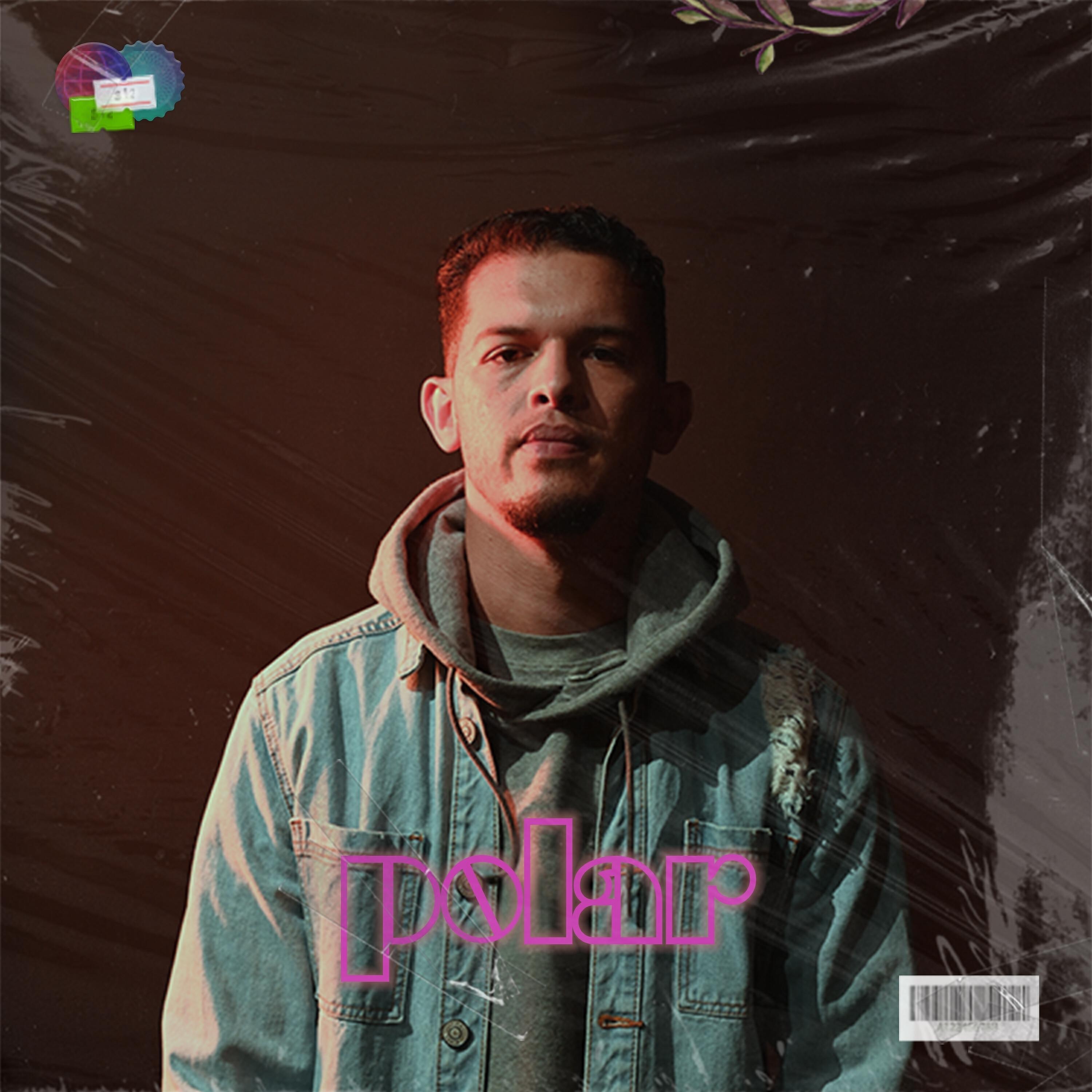 Релиз Polar