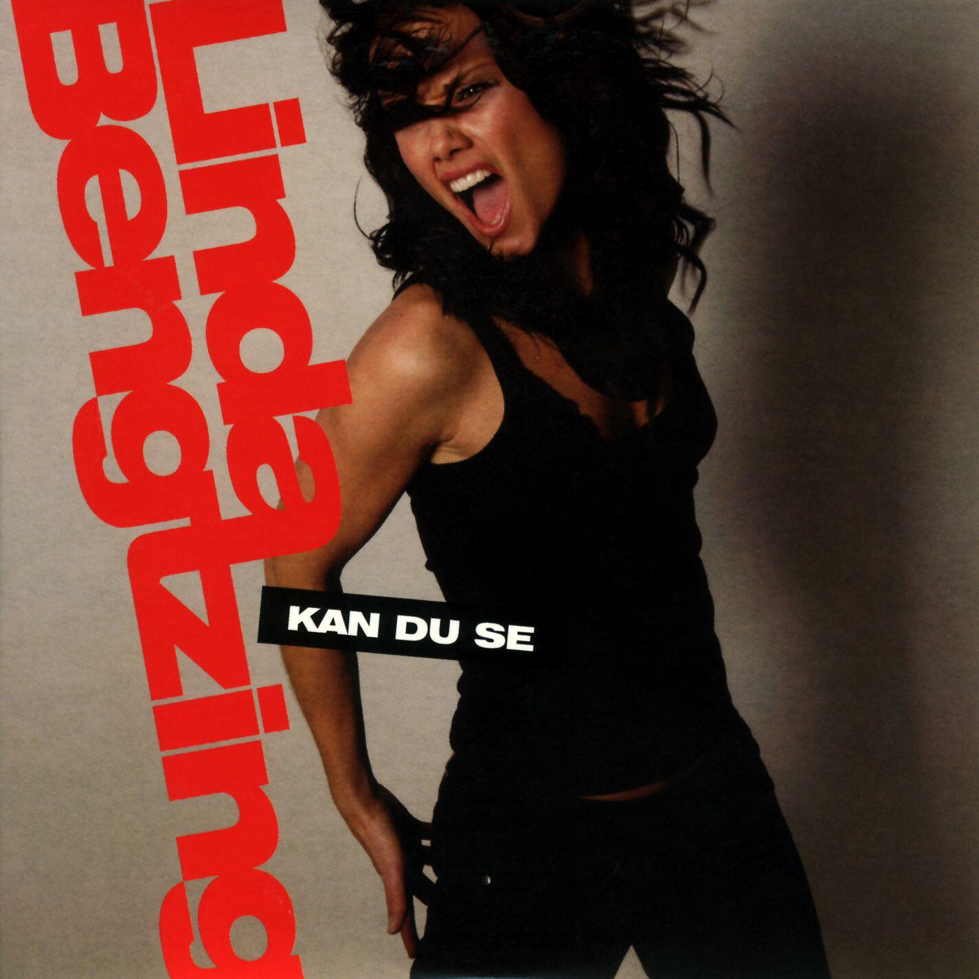 Релиз Kan du se