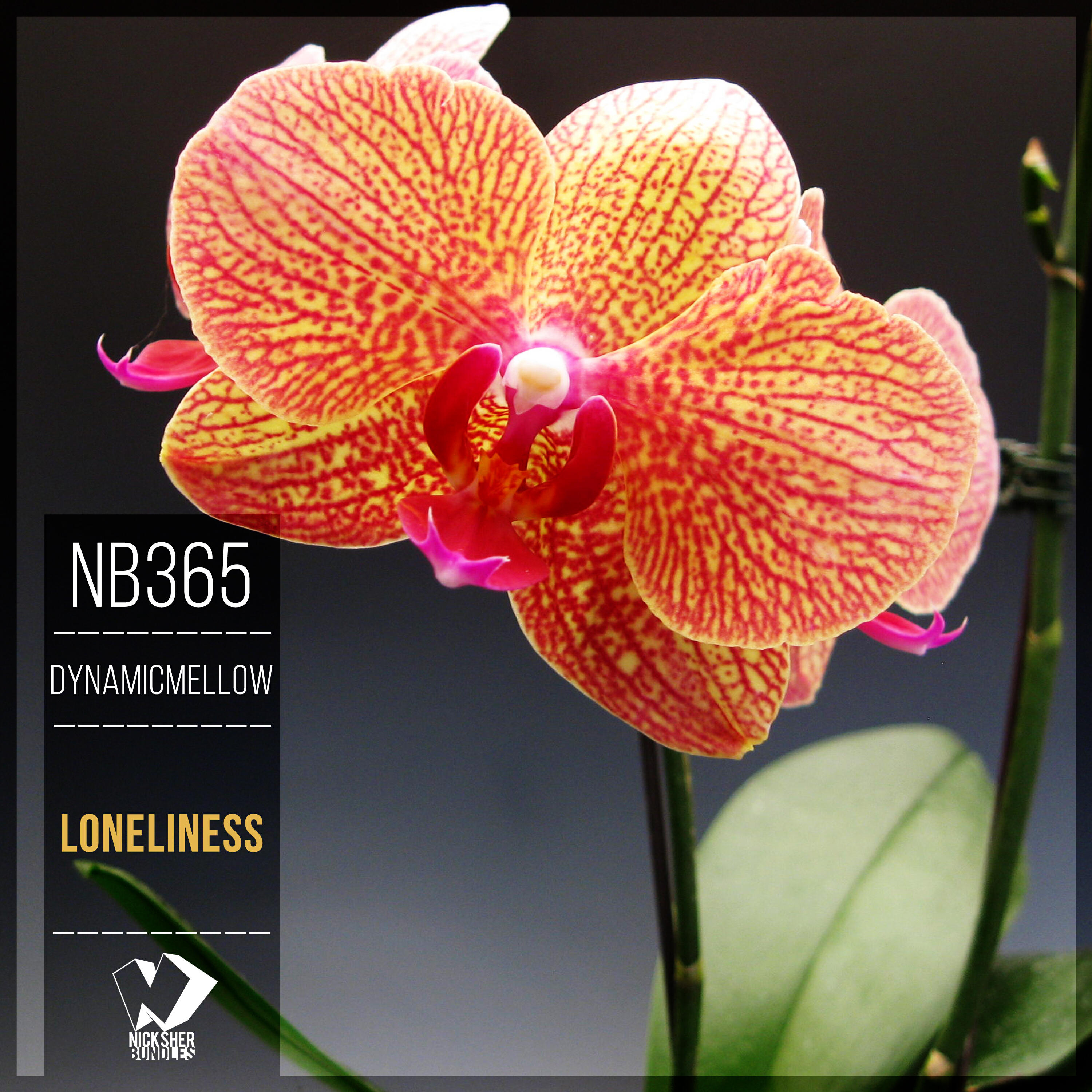 Релиз Loneliness