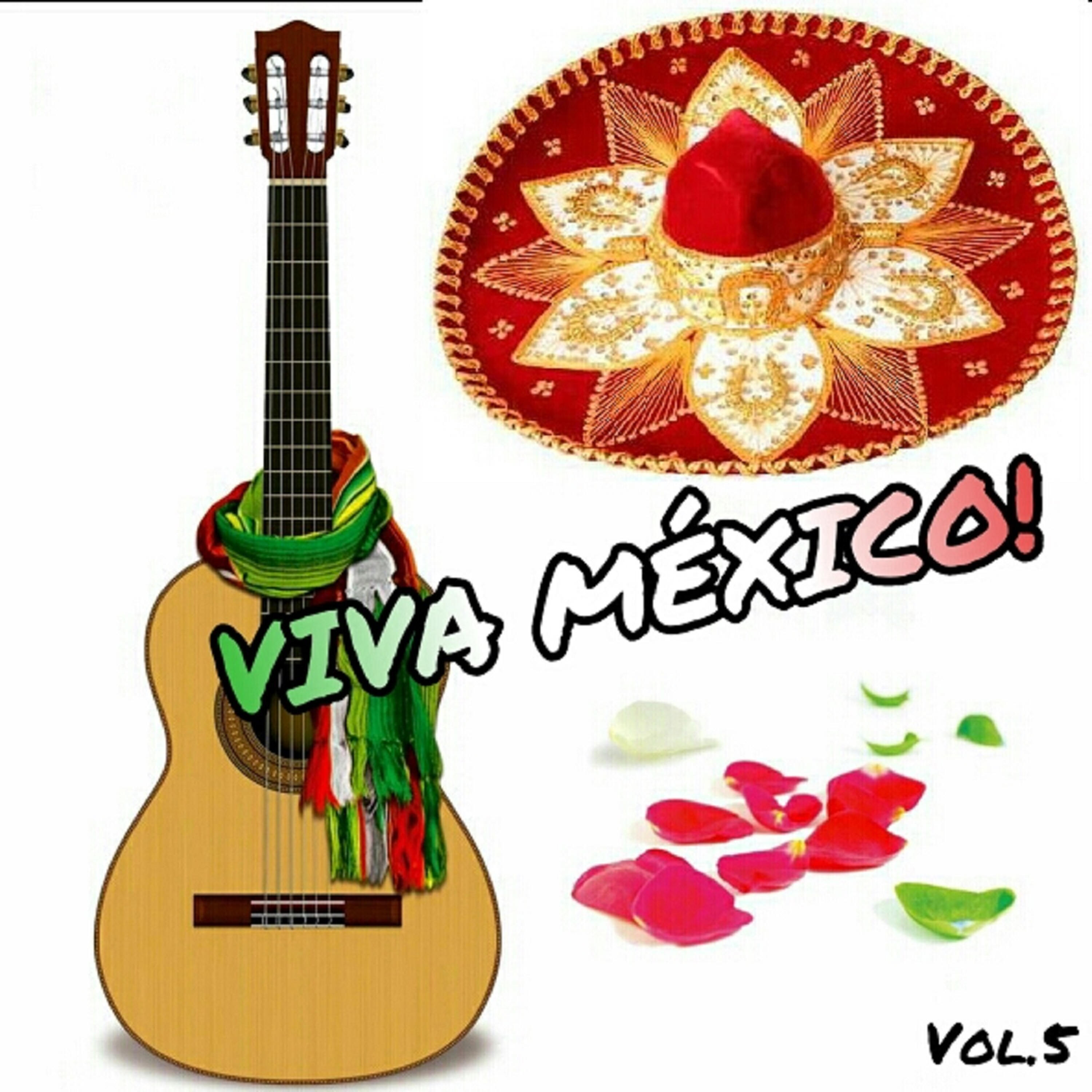 Постер альбома Viva México!, Vol. 5