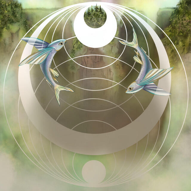 Релиз I Shine, Not Burn