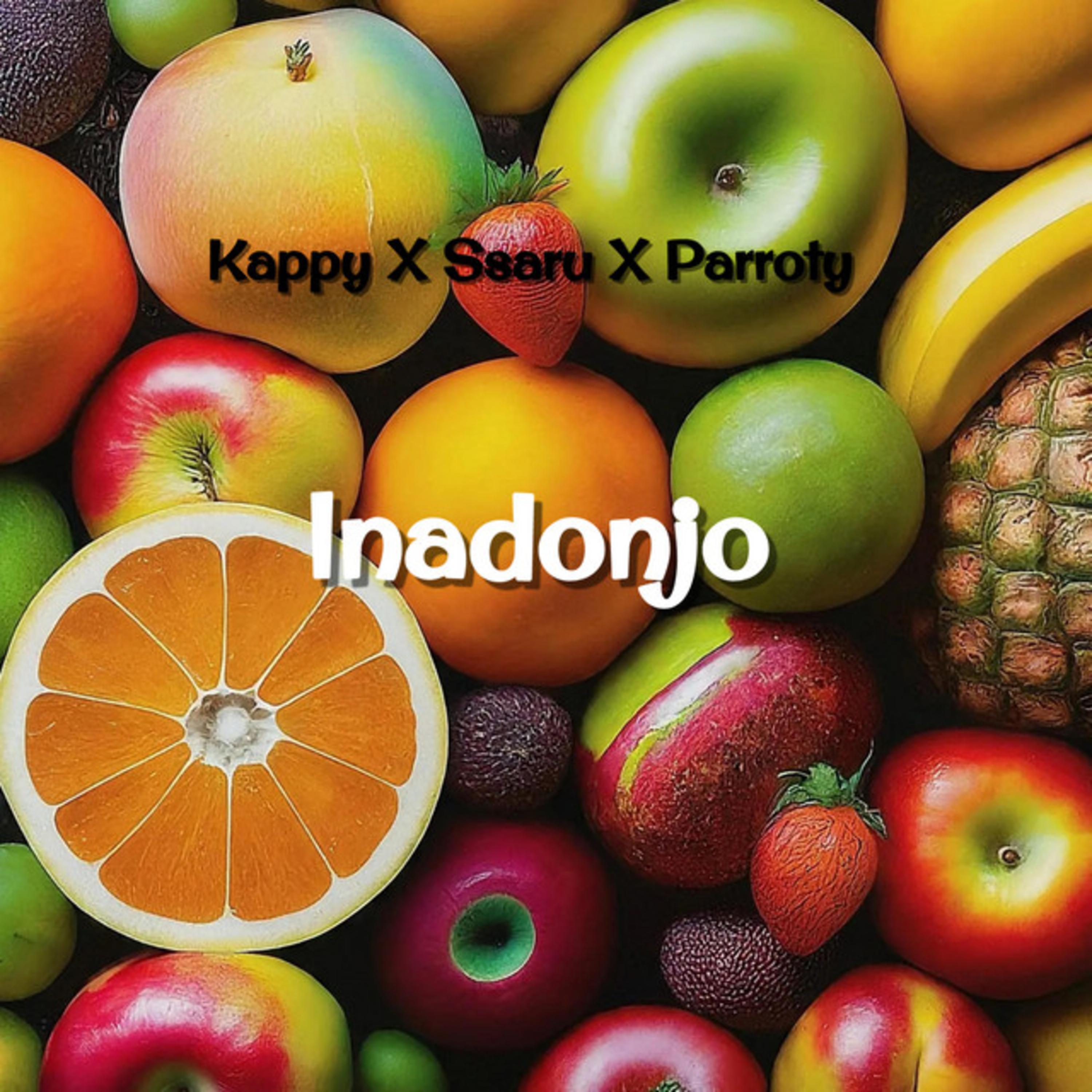 Релиз Inadonjo