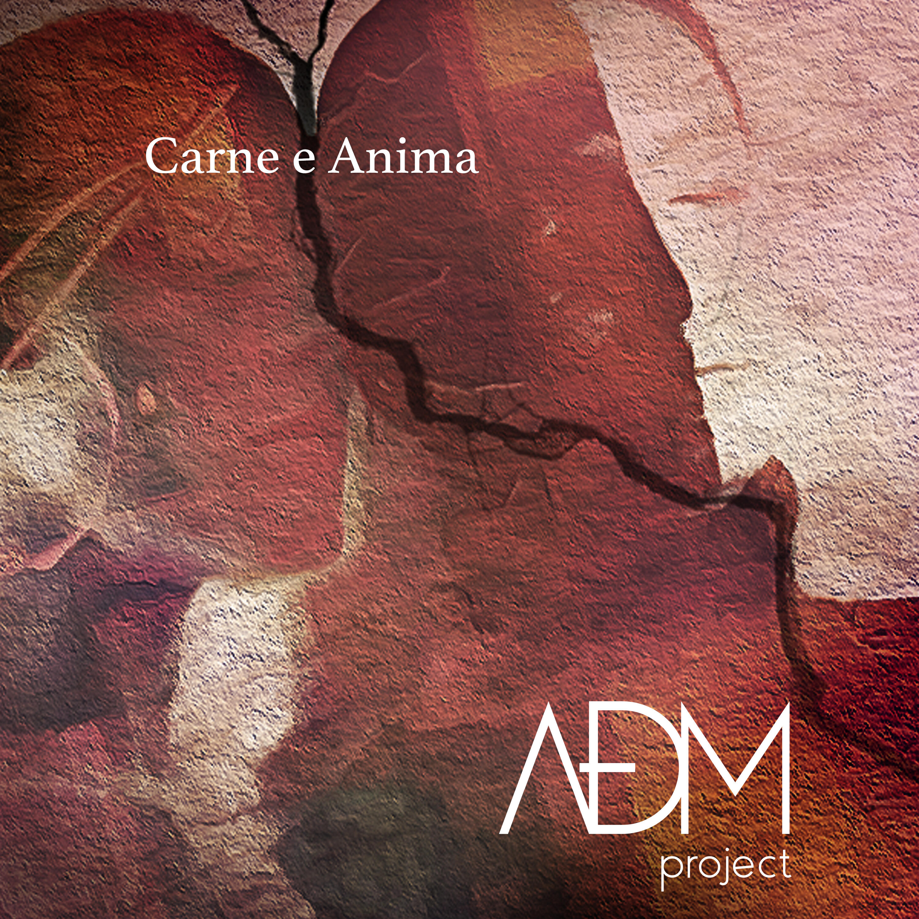 ADM Project