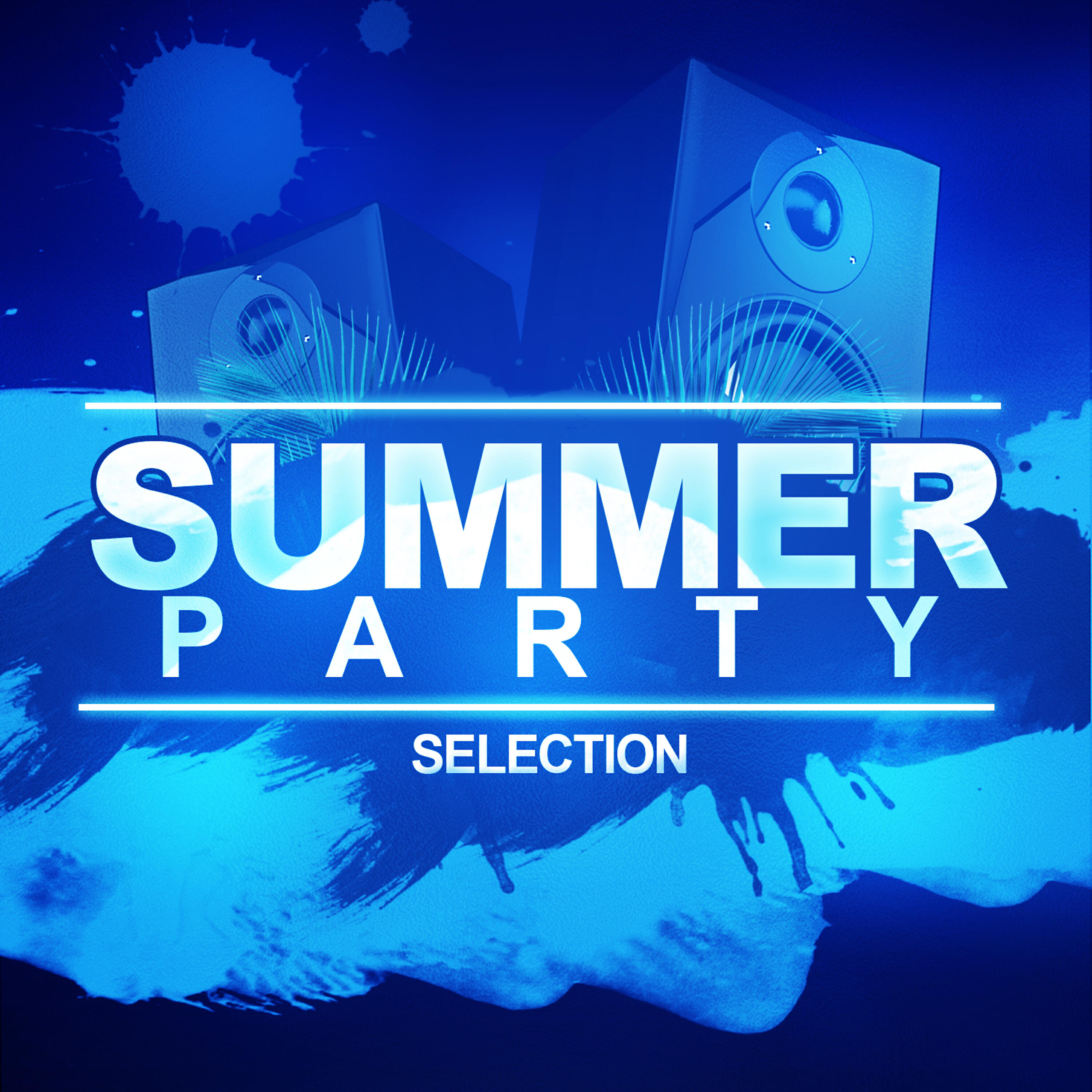 Постер альбома Summer Party Selection