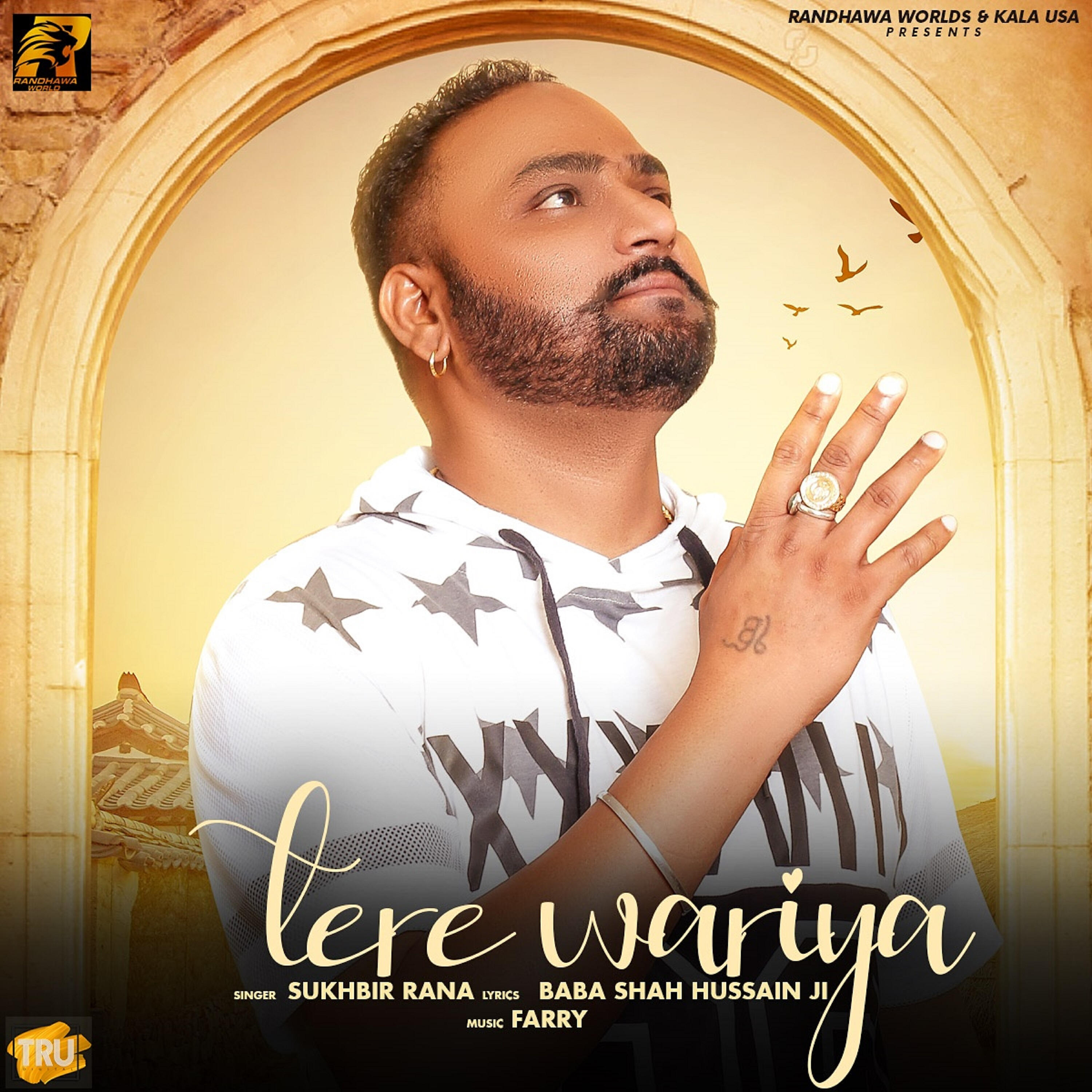 Релиз Tere Wariya