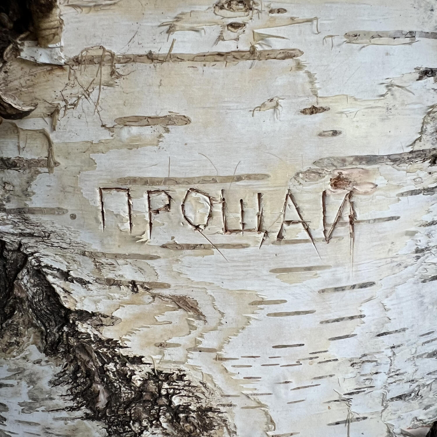 Постер альбома прощай (Retro version)
