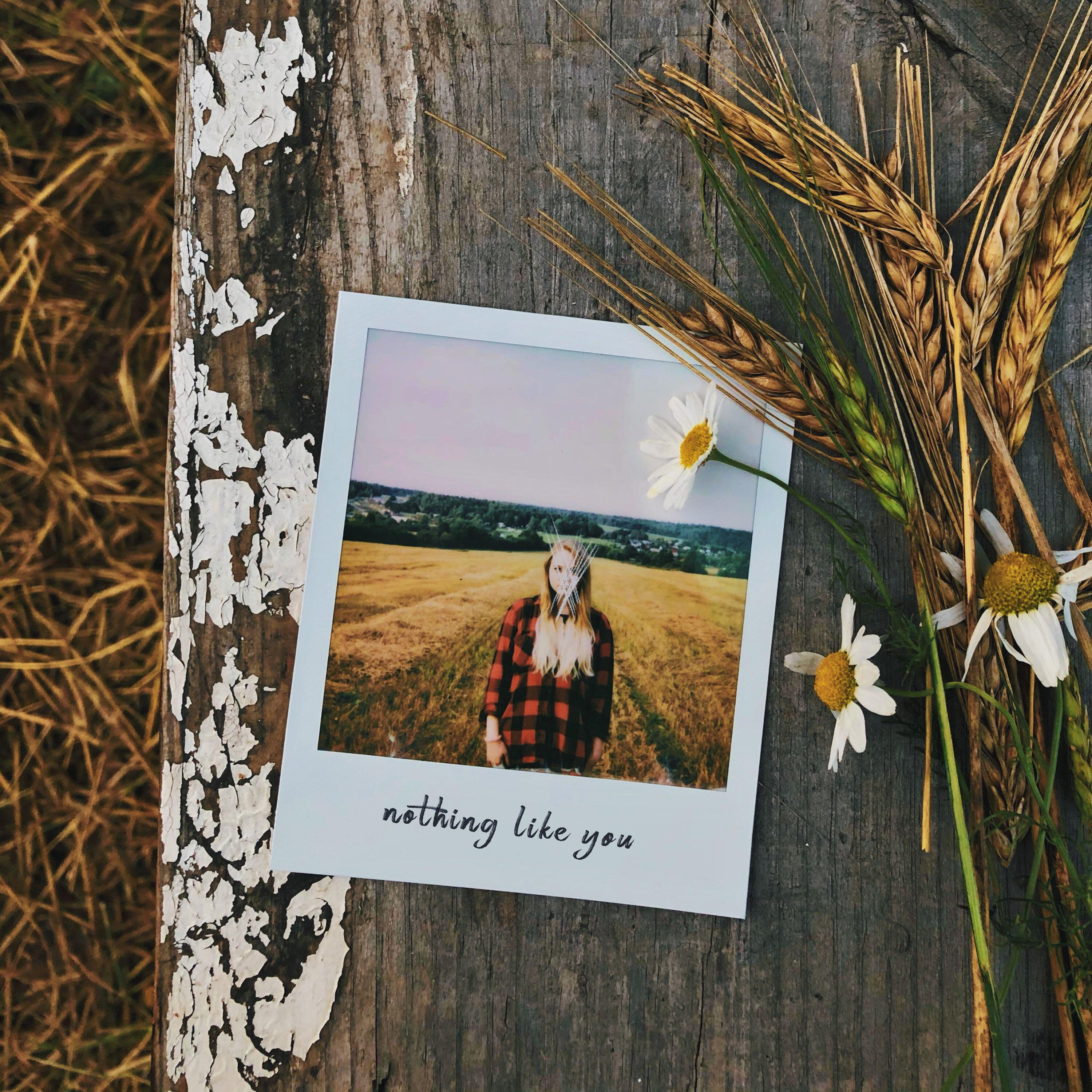 Релиз Nothing like you
