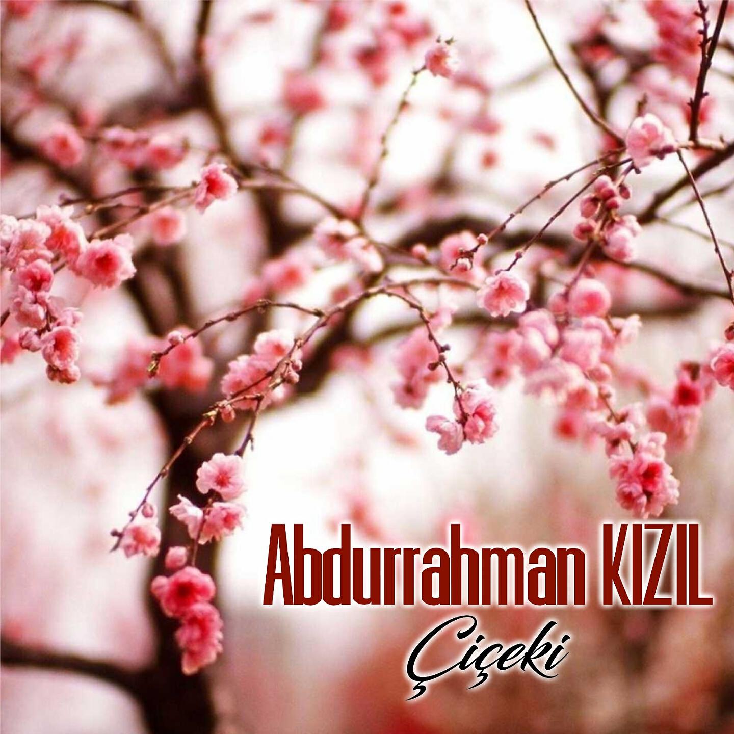 Abdurrahman Kızıl