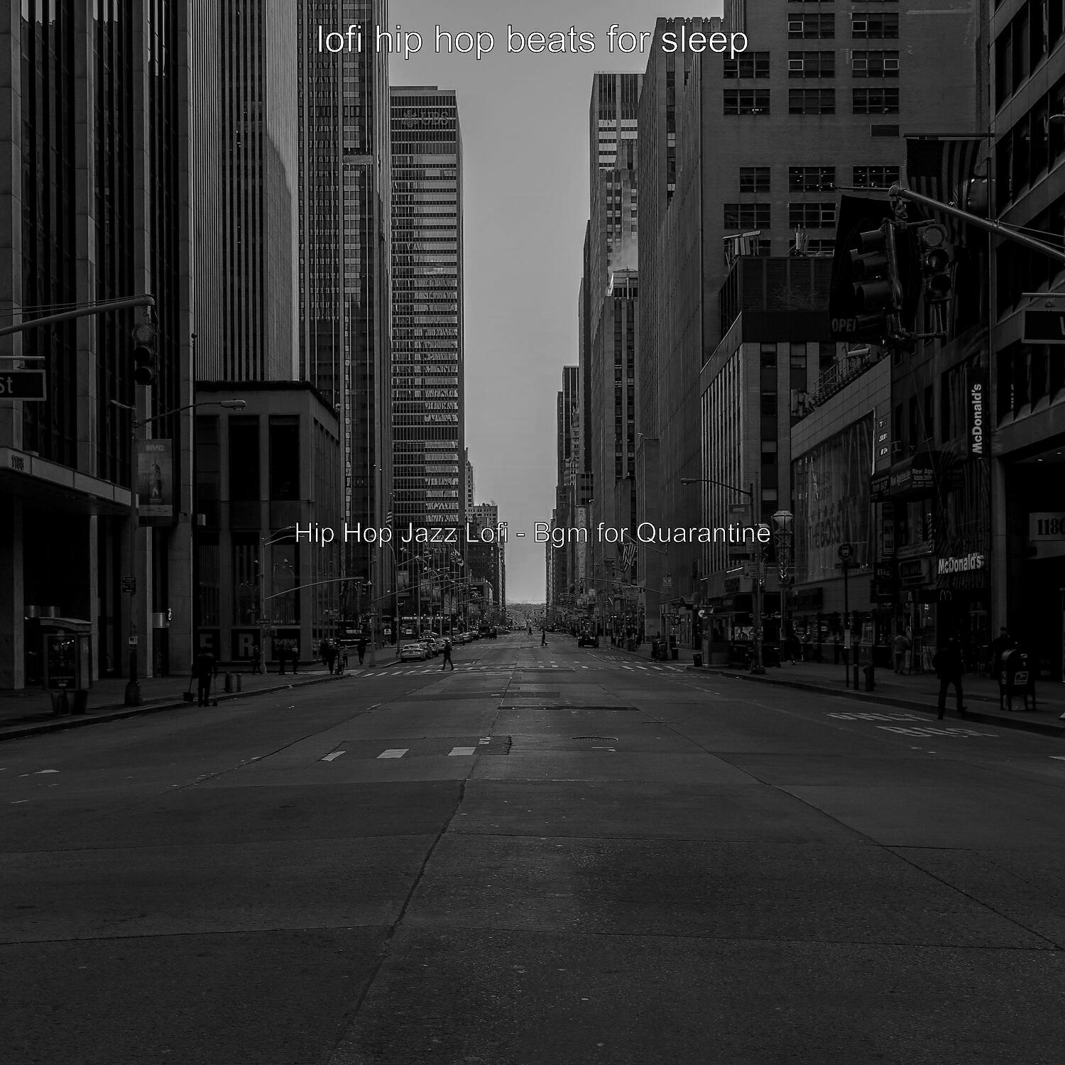 lofi hip hop beats for sleep
