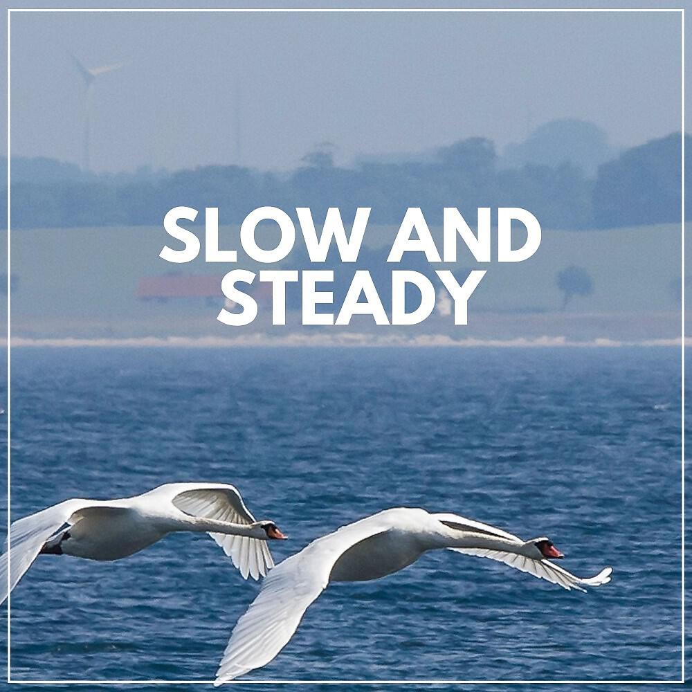 Релиз Slow and Steady