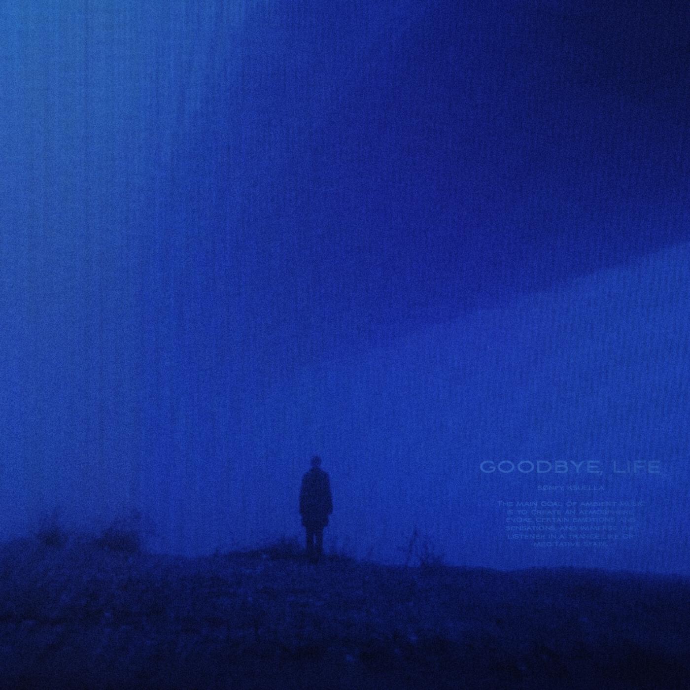Релиз goodbye, life