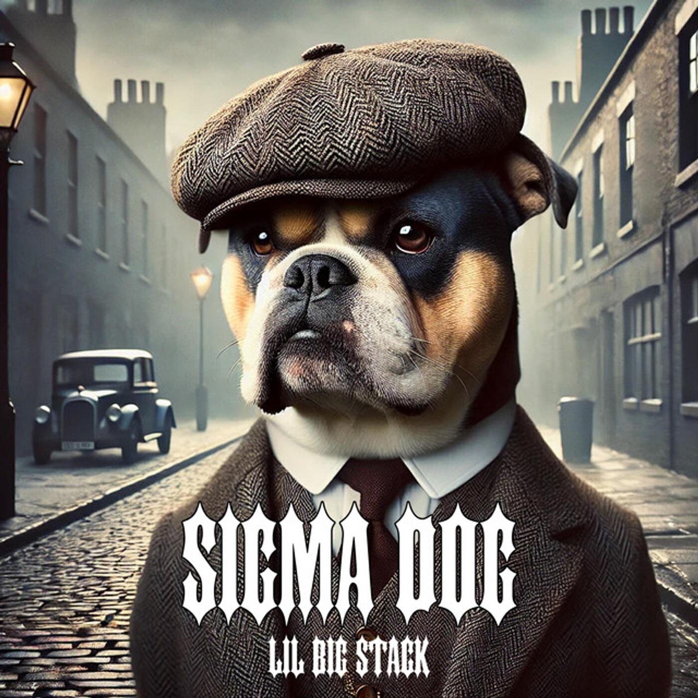 Релиз Sigma Dog