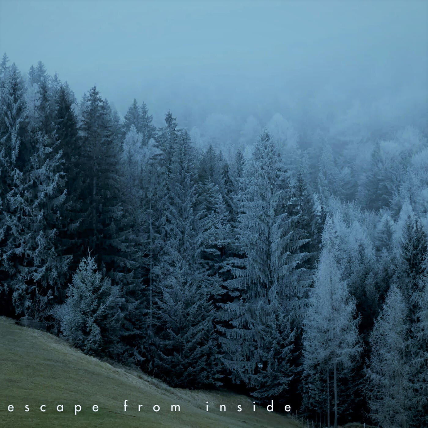 Релиз Escape from Inside