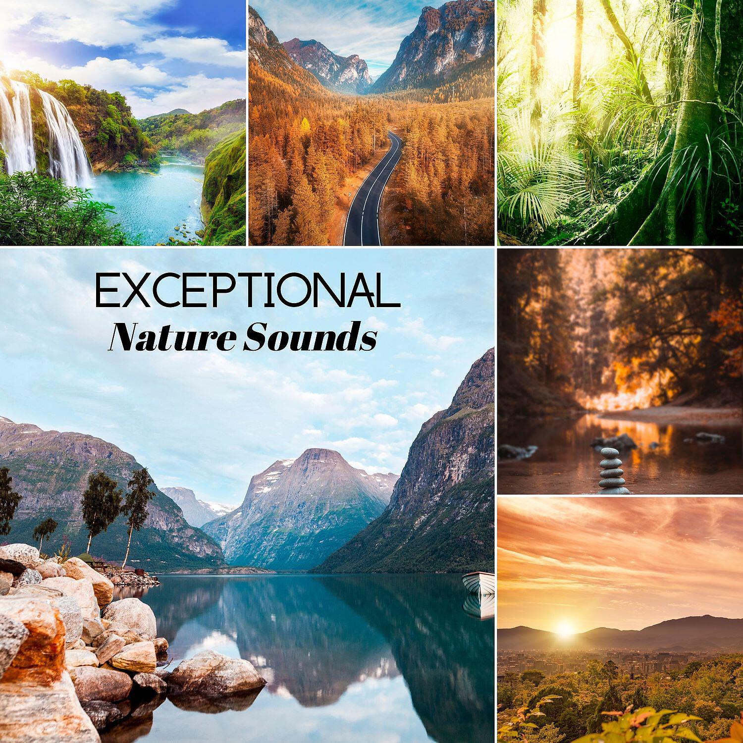 Релиз Exceptional Nature Sounds