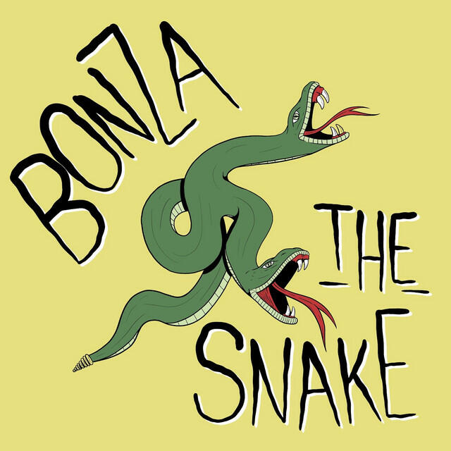 Релиз The Snake