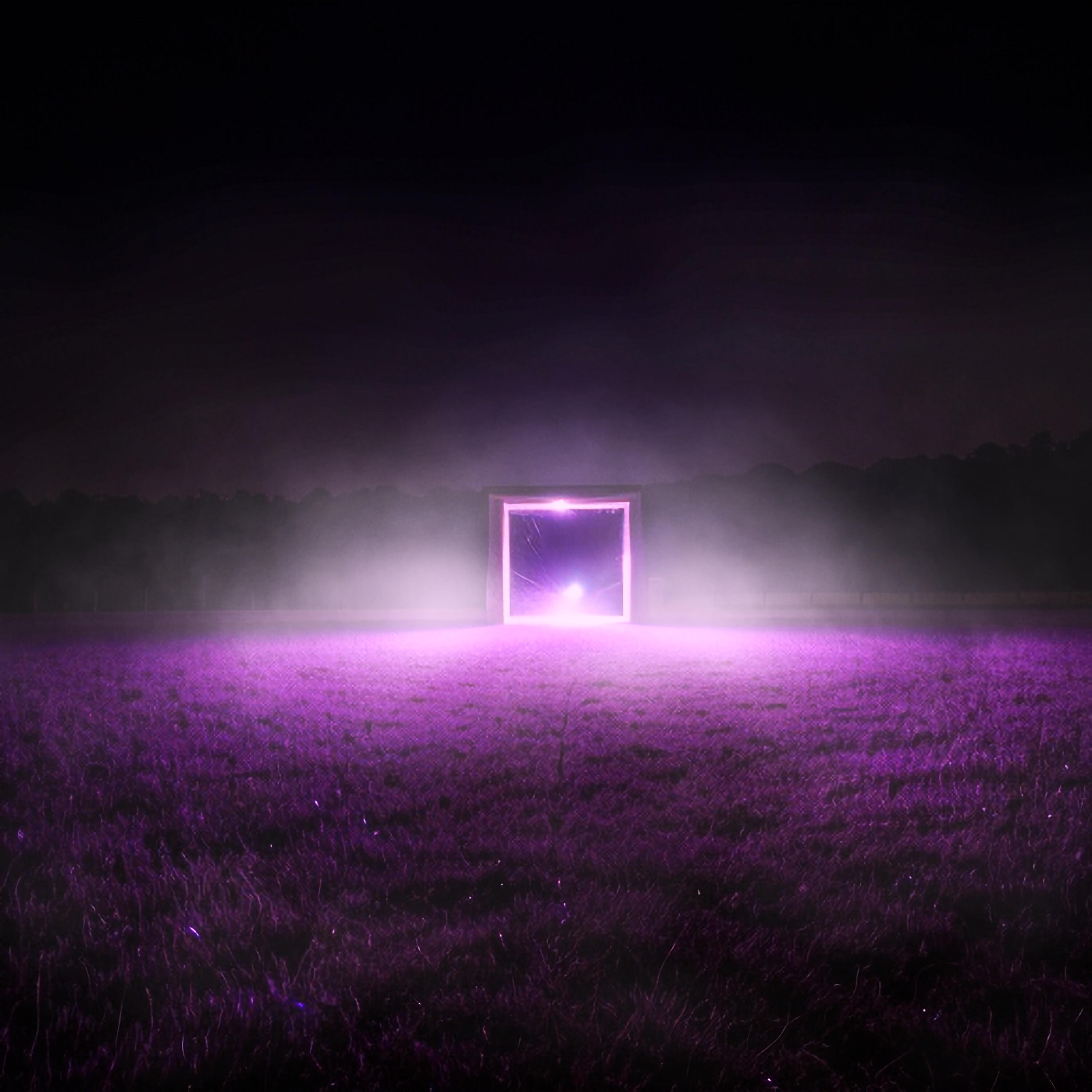 Релиз entity