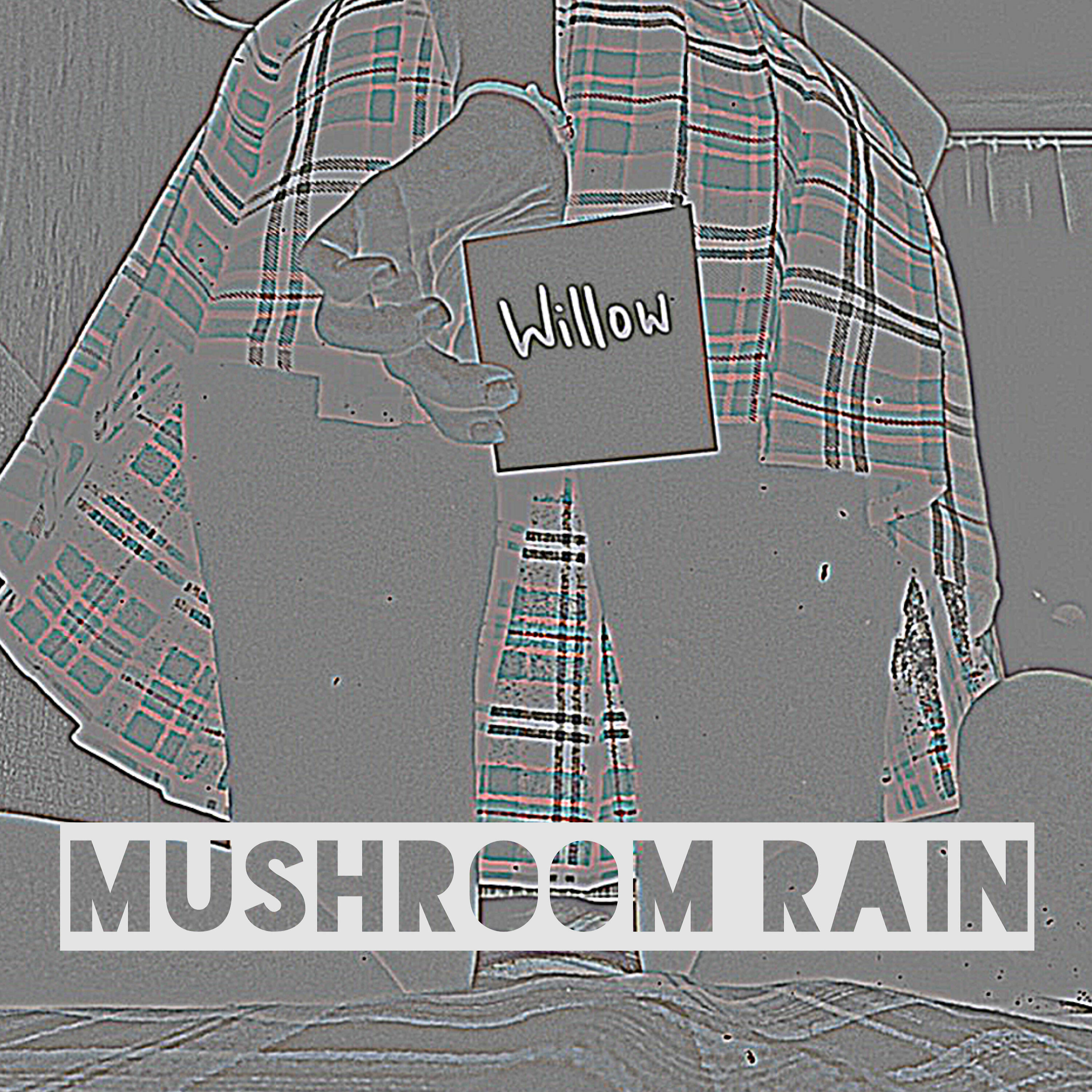 Релиз Mushroom Rain
