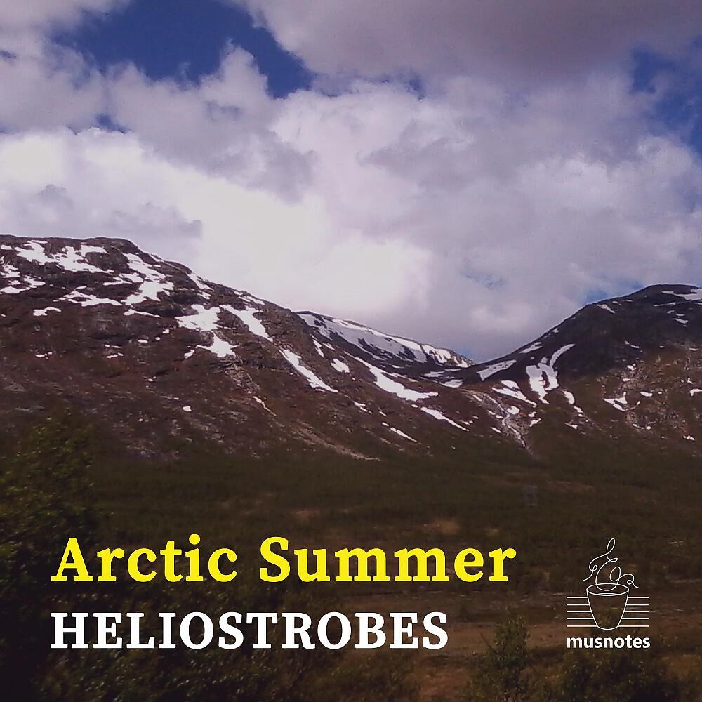 Релиз Arctic Summer