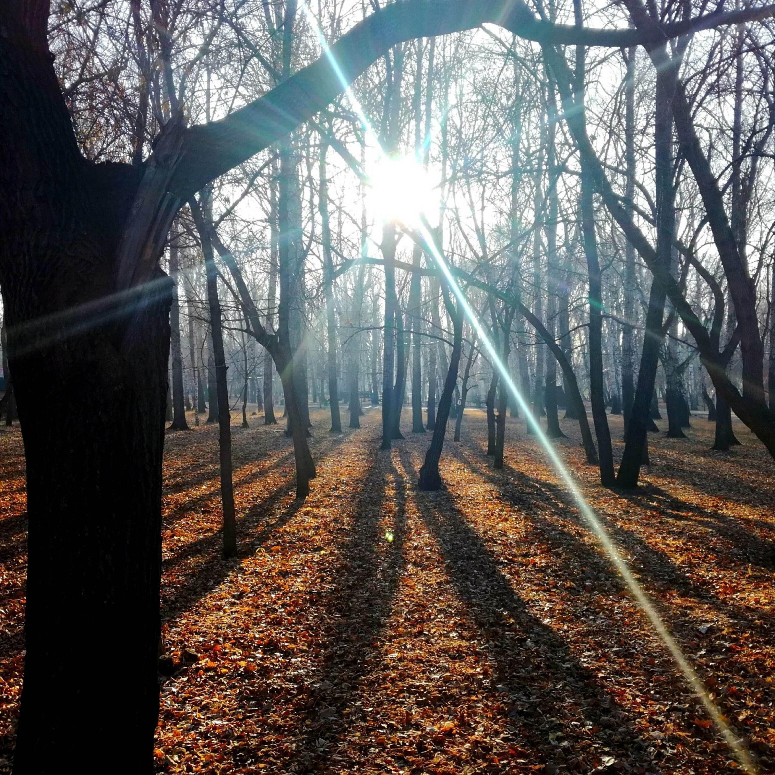 Релиз Лето ушло