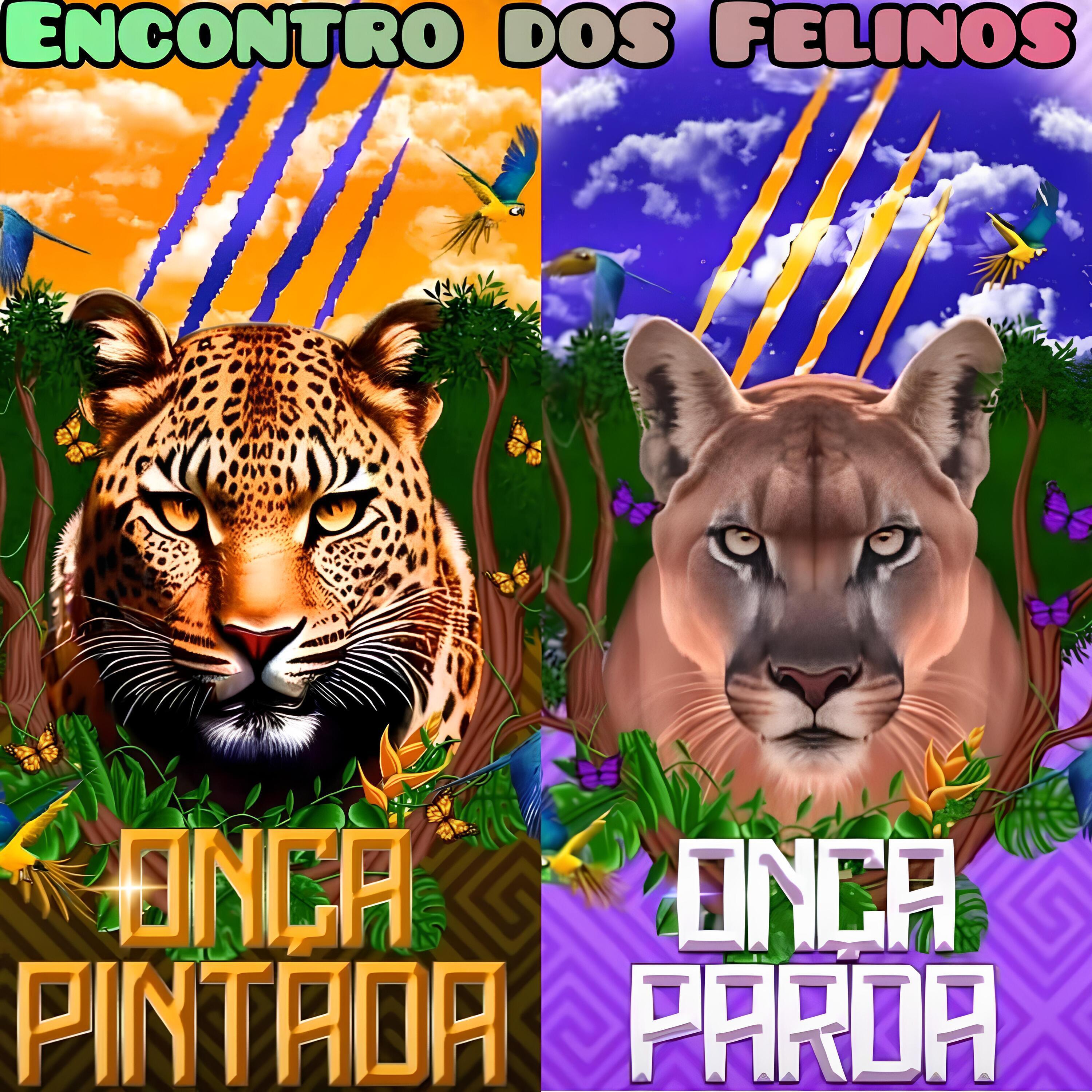 Релиз Encontro dos Felinos.
