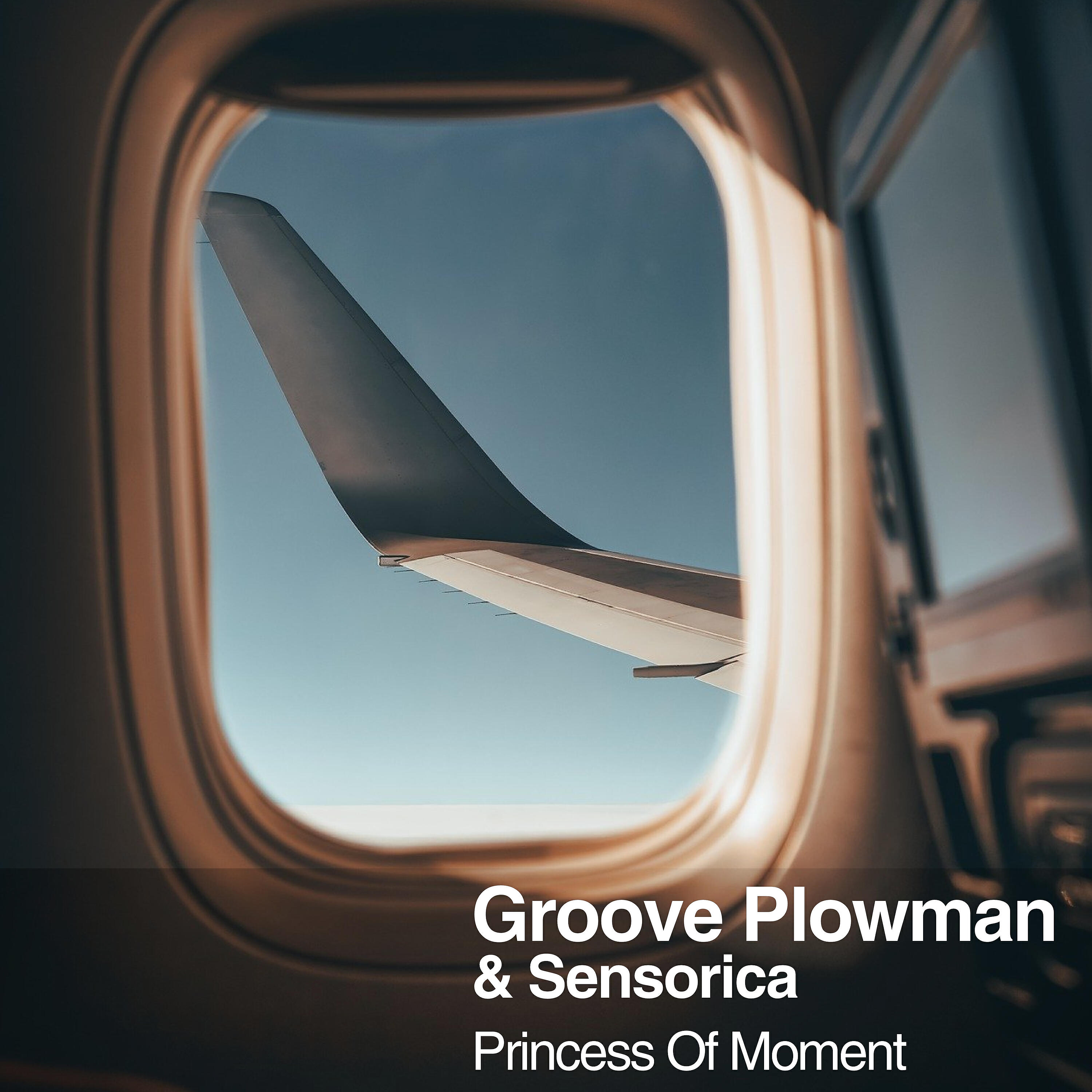 Groove Plowman